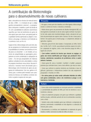 7
A contribuição da Biotecnologia
para o desenvolvimento de novas cultivares
Após a descoberta da estrutura da molécula básica
da vida, o DNA – e a revelação de que o código
genético correspondente é universal –, os pesquisa-
dores começaram a trabalhar, a partir da década de
70, com a possibilidade de adicionar características
específicas por meio da transferência de genes de
uma espécie para outra.Assim, uma planta pode ter
a qualidade nutritiva aprimorada ou adquirir a resis-
tência a uma praga, a tolerância a um herbicida ou
a resistência à seca, ao frio, etc.
Surgia de fato a Biotecnologia como uma forte alia-
da aos programas de melhoramento convencional.
A possibilidade de contribuir com benefícios no mé-
dio prazo ao consumidor – e, de imediato, um au-
mento de competitividade ao agronegócio, princi-
palmente ao serem consideradas as adequações de
custos –, fez com que pesquisadores de empresas
públicas e privadas do setor, universidades e centros
de pesquisas investissem nessa ciência. Recursos fi-
nanceiros e humanos foram direcionados para a
Biotecnologia como ferramenta de apoio aos pro-
gramas de melhoramento. Com isso, ganha-se efi-
ciência, pois o cientista pode introduzir uma carac-
terística de interesse sem modificar as demais exis-
tentes na planta receptora do novo gene.
Melhoramento genético
•Até agora, a maior parte dos trabalhos com milho ligados à Biotecnologia
envolve o controle de insetos e tolerância a herbicidas.
• Muitos desses genes são provenientes do Bacillus thuringiensis (Bt), um
microrganismo encontrado no solo de várias regiões do Brasil. Essa bacté-
ria tem sido usada como inseticida biológico, desde a década de 60, por
meio da pulverização dos esporos sobre a lavoura. Ela não é tóxica para o
homem, mas apenas para os insetos-praga, e é amplamente utilizada na
agricultura orgânica.
• Diferentes genes Bt têm sido isolados e incorporados ao milho. Dentre
eles, Cry1Ab, Cry1F e Cry1Ac, que produzem proteínas capazes de contro-
lar a população de lagartas, como a mais destrutiva praga do milho, a
lagarta-do-cartucho.
• Com melhor controle de insetos que atacam as espigas, os
grãos são menos danificados por fungos que produzem mico-
toxinas, substâncias causadoras de problemas sérios à saúde
animal e humana.
• Outros genes Bt, como o Cry34Ab1, Cry35Ab1 e Cry3Bb1, produzem
proteínas que controlam larvas, como a larva-alfinete, que ataca as raízes.
• Genes que conferem às plantas tolerância aos herbicidas à base de
glifosato, glufosinato e imidazolinona também têm sido amplamente
pesquisados e inseridos em milho.
• Em vários países já estão sendo cultivados híbridos de milho
com genes combinados, como o de resistência à praga e o de
tolerância a herbicida.
Presente
• Genes estão sendo incorporados ao cereal para aumentar a estabilidade
e a produtividade das plantas de milho, por meio de tolerância à seca e
resistência a doenças.
• Estão em andamento pesquisas com genes que melhoram a qualidade
nutritiva do grão, conferindo aumento do teor de aminoácidos essenciais,
como a lisina.
• Também estão sendo estudados genes que melhoram a composição de
proteínas, aumentando a solubilidade no trato digestivo e a absorção de
minerais pelos suínos.
• Recentemente, os cientistas vêm trabalhando no isolamento de genes
visando a melhor conversão de amido do milho em álcool.
Futuro
 