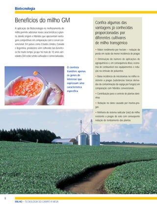 Benefícios do milho GM
• Maior rendimento por hectare – redução da
perda em razão da menor incidência de pragas
• Diminuição do número de aplicações de
agroquímicos e, em conseqüência disso, econo-
mia de combustível nos equipamentos e redu-
ção na emissão de poluentes
• Baixa incidência de micotoxinas no milho re-
sistente a pragas (substâncias tóxicas deriva-
das da contaminação da espiga por fungos) em
comparação com híbridos convencionais
• Contribuição para o controle de plantas dani-
nhas
• Redução no dano causado por insetos-pra-
gas
• Melhoria do sistema radicular (raiz) do milho
resistente a pragas do solo com conseqüente
redução do tombamento das plantas
O cientista
transfere apenas
os genes de
interesse que
expressam uma
característica
específica
MILHO • TECNOLOGIA DO CAMPO À MESA
Biotecnologia
8
A aplicação da Biotecnologia no melhoramento do
milho permite adicionar novas características à plan-
ta, dando origem a híbridos que apresentam vanta-
gens competitivas em comparação com o cereal con-
vencional. Em países como Estados Unidos, Canadá
e Argentina, produtores vêm colhendo tais benefíci-
os há muito tempo, já que há mais de 10 anos vari-
edades GM estão sendo cultivadas e comercializadas.
Confira algumas das
vantagens já conhecidas
proporcionadas por
diferentes cultivares
de milho transgênico
 