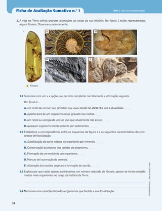 1. A vida na Terra sofreu grandes alterações ao longo da sua história. Na ﬁgura 1 estão representados
alguns fósseis. Observa-os atentamente.
1.1 Seleciona com um x a opção que permite completar corretamente a aﬁrmação seguinte.
Um fóssil é…
A. um resto de um ser vivo primitivo que viveu desde há 4600 M.a. até à atualidade. _____
B. a parte dura de um organismo atual gravado nas rochas. _____
C. um resto ou vestígio de um ser vivo que atualmente não existe. _____
D. qualquer organismo morto coberto por sedimentos. _____
1.2 Estabelece a correspondência entre os esquemas da ﬁgura 1 e as seguintes características dos pro-
cessos de fossilização:
A. Substituição da parte interna do organismo por minerais. _____
B. Conservação da maioria dos tecidos do organismo. _____
C. Formação de um molde de um organismo. _____
D. Marcas de locomoção de animais. _____
E. Alteração dos tecidos vegetais e formação de carvão. _____
1.3 Explica por que razão apenas conhecemos um número reduzido de fósseis, apesar de terem existido
muitos mais organismos ao longo da história da Terra.
1.4 Menciona uma característica dos organismos que facilite a sua fossilização.
Ficha de Avaliação Sumativa n.o
1
I II III
IV V
Fósseis1
36
ASA•Ciência&Vida7•GuiadoProfessor
TEMA 1. Terra em transformação
 