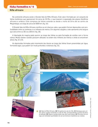 Ficha formativa n.o
1Ficha formativa n.o
1
Constituição e funcionamento do microscópio
Ficha formativa n.o
1Ficha Formativa n.o
6
Rifte africano
No continente africano existe o Grande Vale do Rifte Africano. Este vale é formado por um conjunto de
falhas tectónicas que apareceram há cerca de 35 M.a., e que levaram à separação das placas litosférica
africana e arábica. Este complexo de falhas estende-se desde o norte da Síria até ao centro de
Moçambique, ao longo de cerca de 5000 km (ﬁg. 1A).
O Grande Vale do Rifte Africano ramiﬁca-se em diversos vales, que podem formar depressões com pro-
fundidades entre as centenas e os milhares de metros. Em algumas secções o vale apresenta uma largura
que varia entre os 30 e os 100 km (ﬁg. 1B).
A libertação de magma pode ocorrer ao longo das falhas ou pela formação de vulcões com a forma
cónica. Muitos destes vulcões possuem altitudes na ordem dos milhares de metros e ainda se encontram
ativos (ﬁg. 1C e D).
As depressões formadas pelo movimento dos blocos ao longo das falhas foram preenchidas por água,
formando lagos, que podem ser muito profundos e extensos (ﬁg. 1E).
TEMA 1. Terra em transformação
44
ASA•Ciência&Vida7•GuiadoProfessor
N
RRRRRRR ftftftftee AfAfAfrr caacannooooonRifte Africano
Vale OesteVale Oeste
do Riftedo Rifte
Vale Oeste
do Rifte
MarVermelho
RifteRifte
da Etiópiada Etiópia
Rifte
da Etiópia
Vale EsteVale Este
do Riftedo Rifte
Vale Este
do Rifte
(A) Vale do Rifte Africano; (B) Perspetiva do vale do rifte; (C) Destaque para um
dos vários vulcões existentes no vale do rifte, correspondendo a pontos de eleva-
da altitude; (D) Alguns vulcões deste vale são muito ativos; (E) Pormenor de um
lago com elevadas quantidades de sal (cor branca) e bactérias (cor violeta).
1
A
B
C
D
E
 