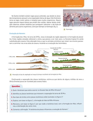 45
ASA•Ciência&Vida7•GuiadoProfessor
Questões
No Quénia também existem lagos pouco profundos, que devido às eleva-
das temperaturas possuem uma evaporação intensa de água. Este fenómeno
torna os lagos muito salinos e inóspitos para muitos organismos. Alguns
lagos possuem águas tóxicas que provêm dos vulcões. Apesar destas condi-
ções adversas, existem bactérias que conseguem sobreviver e são fonte de
alimento para outros organismos, como por exemplo os ﬂamingos (ﬁg. 2).
Evolução do Homem
A formação dos riftes, há cerca de 8 M.a., levou à elevação da região adjacente e à formação de planal-
tos. Estas regiões elevadas alteraram o clima, que passou a ser mais seco, e a ﬂoresta tropical foi sendo
substituída pela savana. Esta alteração levou a que os primatas primitivos que viviam nas árvores passas-
sem a caminhar nas ervas altas da savana, iniciando-se a evolução dos hominídeos.
Continuando a separação das placas tectónicas, estima-se que dentro de alguns milhões de anos a
África Oriental possa ser inundada pelo oceano Índico.
1. Qual o fenómeno que está a ocorrer no Grande Vale do Rifte Africano?
2. Identiﬁca as placas tectónicas que iniciaram a separação há cerca de 35 M.a.
3. Que tipos de limites entre placas tectónicas estão ilustrados na ﬁgura 1?
4. Explica, com base na ﬁgura 1, a formação do Vale do Rifte Africano.
5. Menciona, com base na ﬁgura 3, por que razão a tectónica local, com a formação de riftes, inﬂuen-
ciou a distribuição dos seres vivos.
6. Comenta a aﬁrmação: “A tectónica de placas inﬂuenciou a evolução do Homem.”
Flamingos.2
Alteração do tipo de vegetação ao longo do tempo resultante da formação de riftes.3
5 M.a. atrás
10 M.a. atrás
20 M.a. atrás
Ar húmido
Ar húmido
Ar húmido
Ar húmido
Ar seco
Grande Vale do Rifte
Africano
Ar húmido
Ar húmido
Floresta húmida Savana
Floresta húmida
Floresta húmida
2. Dinâmica interna da Terra
 
