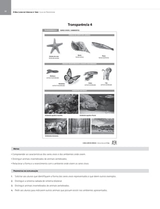 O Meu Livro de Ciências 5.° Ano | Guia do Professor20
TRANSPARÊNCIA 4 SERES VIVOS / AMBIENTES
Estrela-do-mar
forma de estrela
Búzio
forma cónica
Peixe
forma fusiforme
Cobra
animal vertebrado
Minhoca
animal invertebrado
Borboleta
animal invertebrado
Cão
animal vertebrado
laivuﬂocitáuqaetneibmAohniramocitáuqaetneibmA
Ambientes terrestres
O MEU LIVRO DE CIÊNCIAS – Ciências Naturais 5º Ano
FORMAS DO CORPO DOS ANIMAIS
ANIMAIS INVERTEBRADOS E ANIMAIS VERTEBRADOS
AMBIENTES NATURAIS
Metas
• Compreender as características dos seres vivos e dos ambientes onde vivem.
• Distinguir animais invertebrados de animais vertebrados.
• Relacionar a forma e o revestimento com o ambiente onde vivem os seres vivos.
Propostas de exploração
1. Solicitar aos alunos que identifiquem a forma dos seres vivos representados e que deem outros exemplos.
2. Distinguir a simetria radiada de simetria bilateral.
3. Distinguir animais invertebrados de animais vertebrados.
4. Pedir aos alunos para indicarem outros animais que possam existir nos ambientes apresentados.
Transparência 4
 