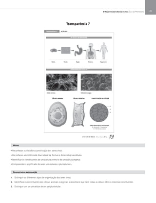 23O Meu Livro de Ciências 5.° Ano | Guia do Professor
CÉLULA ANIMAL CÉLULA VEGETAL CONSTITUIÇÃO DA CÉLULA
Célula observada ao microscópio:
1 – Núcleo; 2 – Citoplasma;
3 – Membrana celular
TRANSPARÊNCIA 7 A CÉLULA
DA CÉLULA AO ORGANISMO
DIVERSIDADE DAS CÉLULAS
eugnasodsaluléCasovrenaluléC
Célula Tecido Órgão Sistema Organismo
O MEU LIVRO DE CIÊNCIAS – Ciências Naturais 5º Ano
Propostas de exploração
1. Distinguir os diferentes tipos de organização dos seres vivos.
2. Identificar os constituintes das células animais e vegetais e reconhecer que nem todas as células têm os mesmos constituintes.
3. Distinguir um ser unicelular de um ser pluricelular.
Metas
• Reconhecer a unidade na constituição dos seres vivos.
• Reconhecer a existência de diversidade de formas e dimensões nas células.
• Identificar os constituintes de uma célula animal e de uma célula vegetal.
• Compreender o significado de seres unicelulares e pluricelulares.
Transparência 7
 