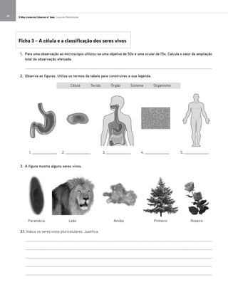 O Meu Livro de Ciências 5.° Ano | Guia do Professor28
1. Para uma observação ao microscópio utilizou-se uma objetiva de 50x e uma ocular de 15x. Calcula o valor da ampliação
total da observação efetuada.
_________________________________________________________________________________________________
2. Observa as figuras. Utiliza os termos da tabela para construíres a sua legenda.
Célula Tecido Órgão Sistema Organismo
Ficha 3 – A célula e a classificação dos seres vivos
1. _____________ 2. _____________ 3. _____________ 4. _____________ 5. _____________
3. A figura mostra alguns seres vivos.
Paramécia Leão Amiba Pinheiro Roseira
3.1. Indica os seres vivos pluricelulares. Justifica.
_________________________________________________________________________________________________
_________________________________________________________________________________________________
_________________________________________________________________________________________________
_________________________________________________________________________________________________
_________________________________________________________________________________________________
 