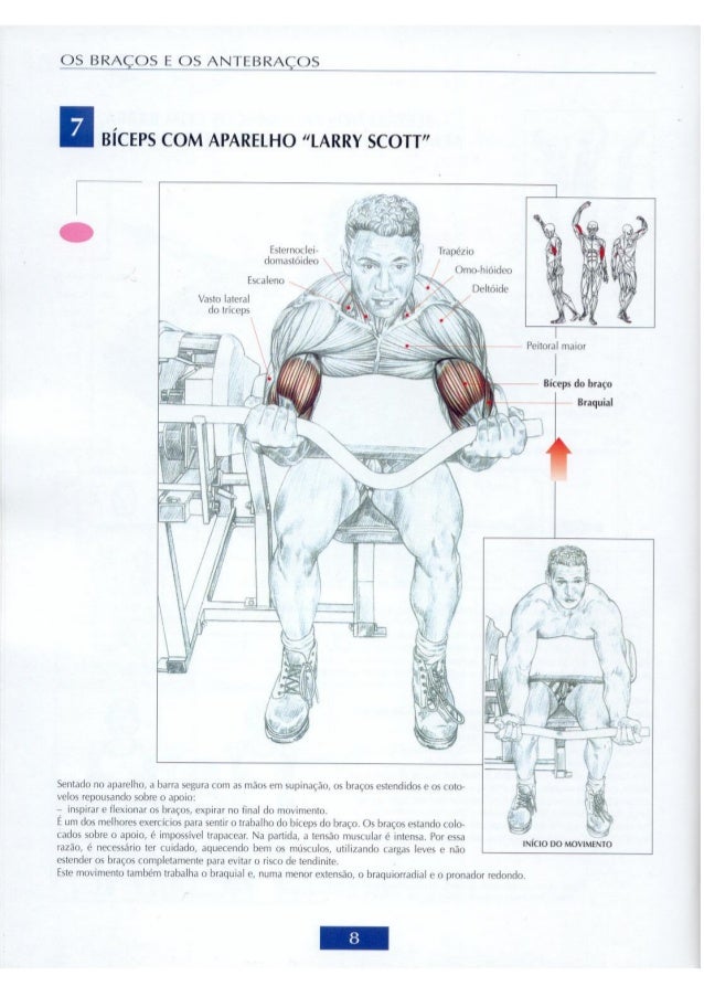 Guia dos movimentos de musculação4