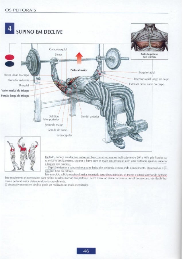 Guia dos movimentos de musculação4