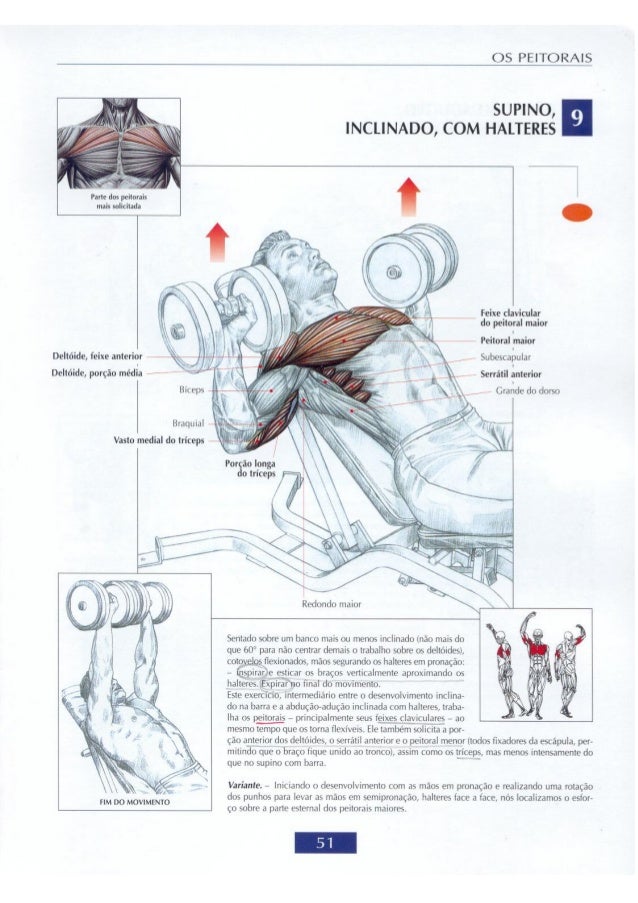 Guia dos movimentos de musculação4
