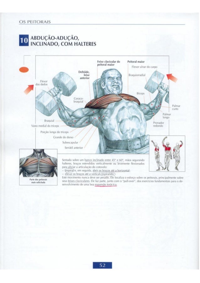 Guia dos movimentos de musculação4