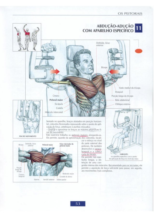 Guia dos movimentos de musculação4