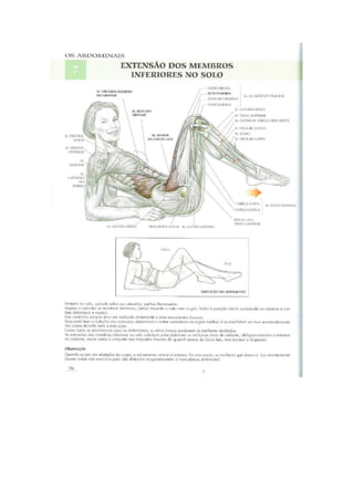 Guia dos movimentos de musculação para mulheres   frédéric delavier