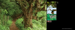 Guía de ecoturismo Sierra Gorda, Querétaro, México | PPT