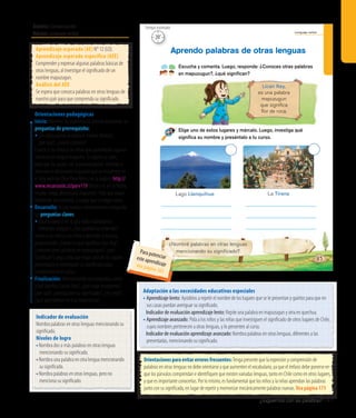 Ámbito: Comunicación
Núcleo: Lenguaje verbal
¿Juguemos con las palabras? 141
Lenguaje verbal
85
Escucha y comenta. Luego, responde: ¿Conoces otras palabras
en mapuzugun?, ¿qué signiﬁcan?
Elige uno de estos lugares y márcalo. Luego, investiga qué
signiﬁca su nombre y preséntalo a tu curso.
Aprendo palabras de otras lenguas
¿Nombré palabras en otras lenguas
mencionando su signiﬁcado?
Lago Llanquihue La Tirana
Lican Ray,
es una palabra
mapuzugun
que signiﬁca
ﬂor de roca.
20’
Tiempo estimado
Indicador de evaluación
Nombra palabras en otras lenguas mencionando su
significado.
Niveles de logro
•	Nombra dos o más palabras en otras lenguas
mencionando su significado.
•	Nombra una palabra en otra lengua mencionando
su significado.
•	Nombra palabras en otras lenguas, pero no
menciona su significado.
Aprendizaje esperado (AE) N° 12 (LO).
Aprendizaje esperado específico (AEE)
Comprender y expresar algunas palabras básicas de
otras lenguas, al investigar el significado de un
nombre mapuzugun.
Análisis del AEE
Se espera que conozca palabras en otras lenguas de
nuestro país para que comprenda su significado.
Orientaciones pedagógicas
Inicio: Movilice las experiencias previas realizando las
preguntas de prerrequisito:
•¿En todas partes se habla el mismo idioma?,
¿por qué?, ¿cuáles conocen?
Cuente a los niños y las niñas que aprenderán algunos
números en lengua mapuche. Si alguno ya sabe,
pida que los ayude con la pronunciación. Invítelos a
observar el diccionario mapuche que se encuentra en
el sitio web de Chile Para Niños, en la página: http://
www.recursostic.cl/parv119 (hacer clic en la flecha
rosada, luego, diccionario mapuche). Pida que vayan
repitiendo los números, y luego, que lo hagan solos.
Desarrollo: Active nuevos conocimientos realizando
las preguntas claves:
•¿Qué pasaría si en la sala todos habláramos
diferentes lenguas?, ¿nos podríamos entender?
Invite a los niños y las niñas a describir la escena,
preguntando: ¿Sabían lo que significa Lican Ray?,
¿conocen otras palabras en mapuzugun?, ¿qué
significan? Luego, pida que elijan uno de los lugares
presentados e investiguen su significado para
compartirlo en el curso.
Finalización: Retroalimente con preguntas como:
¿Qué significa Lincan Ray?, ¿qué lugar escogieron?,
¿por qué?, ¿averiguaron su significado?, ¿les costó?,
¿qué aprendieron en esta experiencia?
Orientaciones para evitar errores frecuentes:Tenga presente que la expresión y comprensión de
palabras en otras lenguas no debe orientarse a que aumenten el vocabulario, ya que el énfasis debe ponerse en
que los párvulos comprendan e identifiquen que existen variadas lenguas, tanto en Chile como en otros lugares,
y que es importante conocerlas. Por lo mismo, es fundamental que los niños y la niñas aprendan las palabras
junto con su significado, en lugar de repetir y memorizar mecánicamente palabras nuevas. Vea página 173
Adaptación a las necesidades educativas especiales
• Aprendizaje lento: Ayúdelos a repetir el nombre de los lugares que se le presentan y guíelos para que en
sus casas puedan averiguar su significado.
	 Indicador de evaluación aprendizaje lento: Repite una palabra en mapuzugun y otra en quechua.
• Aprendizaje avanzado: Pida a los niños y las niñas que investiguen el significado de otros lugares de Chile,
cuyos nombres pertenecen a otras lenguas, y lo presenten al curso.
	 Indicador de evaluación aprendizaje avanzado: Nombra palabras en otras lenguas, diferentes a las
presentadas, mencionando su significado.
Para potenciareste aprendizajevea página 165
 