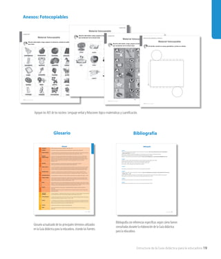 Estructura de la Guía didáctica para la educadora 19
310 Material fotocopiable
Material fotocopiable
Lenguaje verbal
Recorta cada tarjeta. Luego, jueguen al memorice, uniendo las palabras
que riman.
Material Fotocopiable 311
Lenguaje verbal
Material fotocopiable
Recorta cada tarjeta. Luego, jueguen al memorice, uniendo las palabras
que comiencen con la misma vocal.
312 Material fotocopiable
Material fotocopiable
Lenguaje verbal
Recorta cada tarjeta. Luego, jueguen al dominó, uniendo las palabras
que comiencen con la misma vocal.
314 Material fotocopiable
Material fotocopiable
En familia, recorten el cuerpo geométrico y armen un cilindro.
Relaciones lógico-matemáticas y cuantificación
Anexos: Fotocopiables
Apoyan los AEE de los núcleos: Lenguaje verbal y Relaciones lógico-matemáticas y cuantificación.
Glosario 317
Glosario
Autonomía
Autonomía Condición de quien, para ciertas cosas, no depende de nadie. (DRAE, 2010)
Equilibrio Situación de un cuerpo que, a pesar de tener poca base de sustentación, se mantiene sin caerse. (DRAE, 2010)
Esquema corporal “El conocimiento inmediato y continuo que nosotros tenemos de nuestro cuerpo en estado estático o movimiento, en relación con
sus diferentes partes y sobre todo en relación con el espacio y los objetos que nos rodean”. (Pérez, A., 2005)
Origami o
plegado de papel
El origami es el arte de origen japonés del plegado de papel, para obtener figuras de formas variadas. No se utilizan tijeras ni
pegamento, tan solo el papel y las manos. Por lo tanto, con solo algunas hojas de papel pueden obtenerse distintos cuerpos
geométricos (incluso a veces, poliedros) o figuras parecidas a la realidad. Las distintas figuras obtenidas a partir de una hoja de
papel pueden presentar diferentes áreas (según la porción de papel que queda debajo de otra) y varios volúmenes.
(Rodríguez, J., 2010)
Identidad
Identidad Conjunto de rasgos propios de un individuo o de una colectividad que los caracterizan frente a los demás.
Conciencia que una persona tiene de ser ella misma y distinta a las demás. (DRAE, 2010)
Imagen corporal Es un constructo complejo que incluye tanto la percepción que tenemos de todo el cuerpo y de cada una de sus partes, como del
movimiento y límites de este, la experiencia subjetiva de actitudes, pensamientos, sentimientos y valoraciones que hacemos y
sentimos y el modo de comportarnos derivado de las cogniciones y los sentimientos que experimentamos. (Raich, R., 2001)
Identidad sexual Lo que permite a un individuo formular un concepto de sí mismo sobre la base de su sexo, género y orientación sexual y
desenvolverse socialmente conforme a la percepción que tiene de sus capacidades sexuales. (Gallardo, F. y Escolano,V., 2009)
Identidad de género Es la autoconcepción de un individuo como masculino o femenino, indistintamente del sexo biológico. (Trillo-Figueroa, J., 2009)
Convivencia
Trabajo en equipo Técnica, inmersa en el principio de socialización, que se propone capacitar a los individuos para realizar actividades en común
a fin de desarrollar la solidaridad y la cooperación. El equipo es una estructura básica que permite la máxima interacción de sus
miembros, muy idónea para alcanzar objetivos inmediatos. (Medina, A., 1989)
Norma Regla que dirige la conducta, y que se halla presente dondequiera que el pensamiento, el lenguaje o el obrar humanos se ordenan
legalmente. La norma es la regla para la acción de subordinar el pensamiento, la construcción del lenguaje o la praxis a un esquema
de ordenación, que trasciende la arbitrariedad del pensar, desear y hacer subjetivos. (Cortina, A. 1989)
Empatía Sentimiento de identificación con algo o alguien. / Capacidad de identificarse con alguien y compartir sus sentimientos .
(DRAE, 2010)
Capacidad de experimentar en uno mismo los sentimientos e ideas de otra persona, de ponerse uno mismo en el lugar del otro.
(Equipo editorial, 1989)
Lenguajeverbal
Conciencia
fonológica
La conciencia fonológica es la habilidad que permite reconocer, pensar y trabajar con los sonidos del lenguaje. Son estos sonidos los
que el niño representará con letras al escribir y que luego decodificará al leer. (Fundación Astoreca, 2007)
Patrón gramatical Un patrón gramatical puede definirse como el marco sintáctico usual en que se emplean determinadas palabras caracterizadas por
compartir rasgos semánticos y pragmáticos. (Hunston, S. y Francis, G., 1999)
Fonema Es la unidad básica del sonido. Cada una de las unidades fonológicas mínimas que en el sistema de una lengua pueden oponerse a
otras en contraste significativo; por ejemplo, las consonantes iniciales de pozo y gozo, mata y bata; las interiores de cala y cara; las
finales de par y paz; las vocales de tan y ten, sal y sol, etcétera. (DRAE, 2010)
Grafema Unidad mínima e indivisible de la escritura de una lengua (DRAE, 2010)
Sílaba Sonido o sonidos articulados que constituyen un solo núcleo fónico entre dos depresiones sucesivas de la emisión de voz.
(DRAE, 2010)
Glosario
Glosario
Glosario actualizado de los principales términos utilizados
en la Guía didáctica para la educadora, citando las fuentes.
Bibliografía 319
Bibliografía
Unidad 1
•Pérez, A. (2005). Esquema corporal y lateralidad. En Psicomotricidad práctica. Recuperado de: http://www.psicologosclinicos.com/wp-content/uploads/
	 esquema-corporal.pdf [2012, 23 de Julio].
•Mineduc (2011). Cuadernillos de orientaciones pedagógicas. Núcleo de aprendizaje: autonomía. Santiago, Chile: Ministerio de Educación.
•Real Academia de la Lengua Española. (2010). Diccionario de la lengua española. Madrid, España: ESPASA.
•Rodríguez, J. (2010). Colección de juegos: papiroflexia. Recuperado de: http://www.museodeljuego.org/_xmedia/contenidos/0000000843/docu1.pdf.
Unidad 2
•Gallardo, F. y Escolano,V. (2009). Informe diversidad afectivo-sexual en la formación de docentes. Málaga, España: CEDMA.
•Real Academia de la Lengua Española. (2010). Diccionario de la lengua española. Madrid: ESPASA.
•Raich, R. (2001). Imagen corporal. Conocer y valorar el propio cuerpo. Madrid, España: Pirámide.
•Trillo-Figueroa, J. (2009). La ideología de género. Madrid, España: Libroslibres.
Unidad 3
•Real Academia de la Lengua Española. (2010). Diccionario de la lengua española. Madrid: ESPASA.
Unidad 4
•Fundación Astoreca (2007). Manual de lenguaje kinder. Recuperado de: http://www.solidaritasperu.com/terapias/wp-content/uploads/2011/03/conciencia_	 	
	 fonologica_2007_1_1.pdf .
•López, C. (2006). XXXV Simposio Internacional de la Sociedad Española Lingüística. Recuperado de: http://www3.unileon.es/dp/dfh/SEL/actas/Lopez.pdf
•Real Academia de la Lengua Española. (2010). Diccionario de la lengua española. Madrid, España: ESPASA.
Unidad 5
•Real Academia de la Lengua Española. (2010). Diccionario de la lengua española. Madrid, España: ESPASA.
Unidad 7
•Real Academia de la Lengua Española. (2010). Diccionario de la lengua española. Madrid, España: ESPASA.
Bibliografía
Bibliografía con referencias específicas según cómo fueron
consultadas durante la elaboración de la Guía didáctica
para la educadora.
 