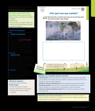 Cuidemos la naturaleza 227
Ámbito: Relación con el medio natural y cultural
Núcleo: Seres vivos y su entorno
¿Comenté cómo creo que era
este lugar antes del incendio?
Describe la foto y comenta cómo crees que era este lugar antes
del incendio forestal. Luego, dibújalo.
¿Por qué creo que cambia?
141
Seres vivos y su entorno
Aprendizaje esperado (AE) Nº 16 (SV).
Aprendizaje esperado específico (AEE)
Relacionar cambios en el ambiente reconociéndolos
en imágenes.
Análisis del AEE
Se espera que observe una imagen e imagine cómo
era antes de un incendio forestal para que relacione
los cambios en el ambiente.
Orientaciones pedagógicas
Inicio: Movilice las experiencias previas realizando
las preguntas de prerrequisito:
• ¿Conocen algún lugar que haya sido contaminado
con basura?, ¿cómo era antes?, ¿en qué cambió?
Pida que escuchen la pista 23 del CD de audio
e imaginen que están en la playa; no hay más
personas, pero luego, llega un bus con mucha gente
que baja a la playa con toallas, bolsos; se bañan,
comen, dejan toda la basura en la playa y se van
nuevamente en el bus: ¿Cómo quedó la playa?,
¿por qué quedó así?, ¿cómo se pudo haber evitado?
Desarrollo: Active nuevos conocimientos realizando
las preguntas claves:
• ¿Qué provoca los cambios en el medioambiente?
• ¿Quépasaríasisecontaminaramáselmedioambiente?
Luego, pregunte: ¿Qué sucede en la foto?, ¿cómo están
los árboles?, ¿y el suelo?, ¿cómo habrá sido este lugar
antes del incendio forestal? Invítelos a dibujar y pida
que muestren sus trabajos para que comparen si todos
se lo imaginaron de la misma forma.
Finalización: Retroalimente la experiencia
y pregunte: ¿Las dos escenas son iguales?, ¿qué las
diferencia?, ¿por qué cambió?, ¿qué ocurrió en el
ambiente?, ¿marcaron los cambios?, ¿todos marcaron
los mismos?, ¿les costó?, ¿por qué?
Orientaciones para evitar errores frecuentes: Defina claramente los conceptos. Por ejemplo, no
siempre los cambios en el ambiente son consecuencia de causas naturales, también pueden producirse por
la intervención del ser humano. Vea página 241
Adaptación a las necesidades educativas especiales
• Aprendizaje lento: Solicite que cierren los ojos e imaginen que están en un campo en un día soleado
y, de un momento a otro, comienza a llover. Luego, pregunte: ¿Imaginaron un cambio en el cielo?, ¿en la
	 temperatura?, ¿qué otros cambios imaginaron?
	 Indicador de evaluación aprendizaje lento: Menciona posibles factores que provocaron el cambio.
• Aprendizaje avanzado: Pregunte qué hechos conocen que han provocado daños en las personas,
	 animales, ambientes, clima u otros elementos. Luego, pregunte sus causas y consecuencias.
	 Indicador de evaluación aprendizaje avanzado: Menciona los factores que provocaron el cambio
	 y sus consecuencias.
Indicador de evaluación
Comenta cómo era antes un ambiente.
Niveles de logro
• Comenta cómo era antes un ambiente.
• Describe un ambiente, pero no cómo era antes.
• No comenta cómo era antes un ambiente
	 ni lo describe.
20’
Tiempo estimado
Para potenciareste aprendizajevea página 237
 