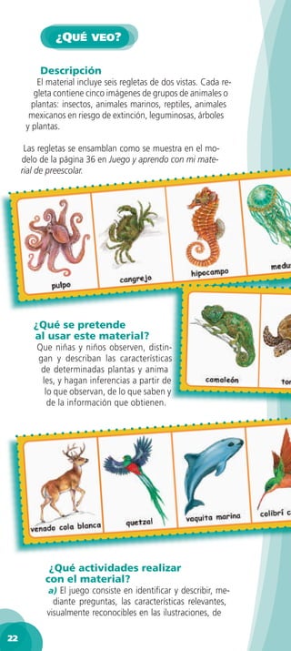¿QUÉ VEO?

          Descripción
          El material incluye seis regletas de dos vistas. Cada re-
         gleta contiene cinco imágenes de grupos de animales o
        plantas: insectos, animales marinos, reptiles, animales
       mexicanos en riesgo de extinción, leguminosas, árboles
      y plantas.

      Las regletas se ensamblan como se muestra en el mo-
     delo de la página 36 en Juego y aprendo con mi mate-
     rial de preescolar.




        ¿Qué se pretende
        al usar este material?
         Que niñas y niños observen, distin-
         gan y describan las características
          de determinadas plantas y anima-
          les, y hagan inferencias a partir de
           lo que observan, de lo que saben y
            de la información que obtienen.




            ¿Qué actividades realizar
           con el material?
            a) El juego consiste en identiﬁcar y describir, me-
              diante preguntas, las características relevantes,
            visualmente reconocibles en las ilustraciones, de

22
 