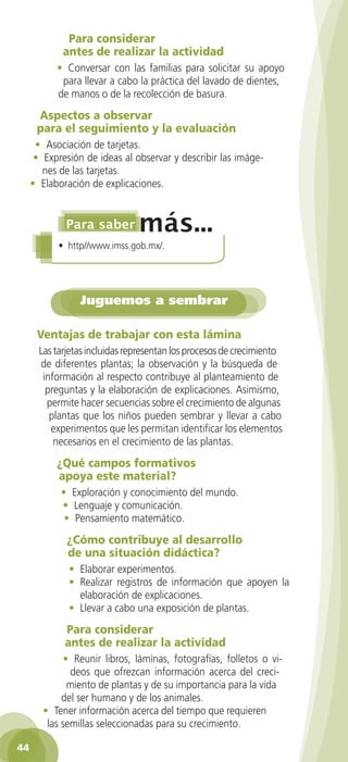 Para considerar
antes de realizar la actividad
• Conversar con las familias para solicitar su apoyo
para llevar a cabo la práctica del lavado de dientes,
de manos o de la recolección de basura.

Aspectos a observar
para el seguimiento y la evaluación
• Asociación de tarjetas.
• Expresión de ideas al observar y describir las imágenes de las tarjetas.
• Elaboración de explicaciones.

• http//www.imss.gob.mx/.

Juguemos a sembrar
Ventajas de trabajar con esta lámina
Las tarjetas incluidas representan los procesos de crecimiento
de diferentes plantas; la observación y la búsqueda de
información al respecto contribuye al planteamiento de
preguntas y la elaboración de explicaciones. Asimismo,
permite hacer secuencias sobre el crecimiento de algunas
plantas que los niños pueden sembrar y llevar a cabo
experimentos que les permitan identificar los elementos
necesarios en el crecimiento de las plantas.

¿Qué campos formativos
apoya este material?
• Exploración y conocimiento del mundo.
• Lenguaje y comunicación.
• Pensamiento matemático.

¿Cómo contribuye al desarrollo
de una situación didáctica?
• Elaborar experimentos.
• Realizar registros de información que apoyen la
elaboración de explicaciones.
• Llevar a cabo una exposición de plantas.

Para considerar
antes de realizar la actividad
• Reunir libros, láminas, fotografías, folletos o videos que ofrezcan información acerca del crecimiento de plantas y de su importancia para la vida
del ser humano y de los animales.
• Tener información acerca del tiempo que requieren
las semillas seleccionadas para su crecimiento.
44
2AB-PREES-GUIA-EDUC-1-P-001-072.44 44

28/3/11 11:28:59

 