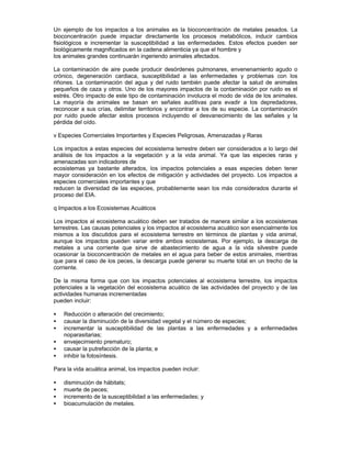Un ejemplo de los impactos a los animales es la bioconcentración de metales pesados. La
bioconcentración puede impactar directamente los procesos metabólicos, inducir cambios
fisiológicos e incrementar la susceptibilidad a las enfermedades. Estos efectos pueden ser
biológicamente magnificados en la cadena alimenticia ya que el hombre y
los animales grandes continuarán ingeriendo animales afectados.
La contaminación de aire puede producir desórdenes pulmonares, envenenamiento agudo o
crónico, degeneración cardiaca, susceptibilidad a las enfermedades y problemas con los
riñones. La contaminación del agua y del ruido también puede afectar la salud de animales
pequeños de caza y otros. Uno de los mayores impactos de la contaminación por ruido es el
estrés. Otro impacto de este tipo de contaminación involucra el modo de vida de los animales.
La mayoría de animales se basan en señales auditivas para evadir a los depredadores,
reconocer a sus crías, delimitar territorios y encontrar a los de su especie. La contaminación
por ruido puede afectar estos procesos incluyendo el desvanecimiento de las señales y la
pérdida del oído.
v Especies Comerciales Importantes y Especies Peligrosas, Amenazadas y Raras
Los impactos a estas especies del ecosistema terrestre deben ser considerados a lo largo del
análisis de los impactos a la vegetación y a la vida animal. Ya que las especies raras y
amenazadas son indicadores de
ecosistemas ya bastante alterados, los impactos potenciales a esas especies deben tener
mayor consideración en los efectos de mitigación y actividades del proyecto. Los impactos a
especies comerciales importantes y que
reducen la diversidad de las especies, probablemente sean los más considerados durante el
proceso del EIA.
q Impactos a los Ecosistemas Acuáticos
Los impactos al ecosistema acuático deben ser tratados de manera similar a los ecosistemas
terrestres. Las causas potenciales y los impactos al ecosistema acuático son esencialmente los
mismos a los discutidos para el ecosistema terrestre en términos de plantas y vida animal,
aunque los impactos pueden variar entre ambos ecosistemas. Por ejemplo, la descarga de
metales a una corriente que sirve de abastecimiento de agua a la vida silvestre puede
ocasionar la bioconcentración de metales en el agua para beber de estos animales, mientras
que para el caso de los peces, la descarga puede generar su muerte total en un trecho de la
corriente.
De la misma forma que con los impactos potenciales al ecosistema terrestre, los impactos
potenciales a la vegetación del ecosistema acuático de las actividades del proyecto y de las
actividades humanas incrementadas
pueden incluir:
• Reducción o alteración del crecimiento;
• causar la disminución de la diversidad vegetal y el número de especies;
• incrementar la susceptibilidad de las plantas a las enfermedades y a enfermedades
noparasitarias;
• envejecimiento prematuro;
• causar la putrefacción de la planta; e
• inhibir la fotosíntesis.
Para la vida acuática animal, los impactos pueden incluir:
• disminución de hábitats;
• muerte de peces;
• incremento de la susceptibilidad a las enfermedades; y
• bioacumulación de metales.
 