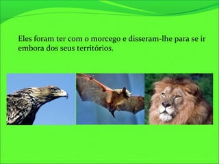 Eles foram ter com o morcego e disseram-lhe para se ir
embora dos seus territórios.
 