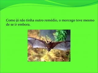 Como já não tinha outro remédio, o morcego teve mesmo
de se ir embora.
 