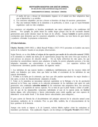 INSTITUCIÓN EDUCATIVA SAN JOSÉ DE CARRIZAL
NIT: 800.184.905-1 DANE: 223678001022 Código ICFES: 064535
CORREGIMIENTO DE CARRIZAL - SAN CARLOS – CÓRDOBA
el medio del uso y desuso de determinados órganos en el animal con fines adaptativos hace
que se hipertrofien o se atrofien.
4. Los caracteres adquiridos por uso y desuso se heredan a lo largo de sucesivas generaciones.
5. Hay una tendencia finalista de la naturaleza a la perfección, es decir, a que se vayan formando
organismos cada vez más complejos.
Los caracteres así adquiridos se heredan, permitiendo una mejor adaptación a las condiciones del
entorno. Por ejemplo, las jirafas tienen los cuellos largos porque este ha ido creciendo durante
generaciones para poder alcanzar mejor las hojas de los arboles. Aunque Lamark no aporto pruebas
convincentes para demostrar que los caracteres adquiridos se heredan, sus tesis fueron de gran interés
y ayudaron a formular la propuesta evolucionista.
-El darwinismo.
Charles Darwin (1809-1882) y Alfred Russell Wallace (1823-1913) presentan en Londres una nueva
teoría de la evolución basada en sus propias observaciones.
Según Darwin, en su obra Sobre el origen de las especies por medio de la selección natural (1859),
en la naturaleza se entabla una lucha por la supervivencia porque hay más seres vivos que recursos, lo
cual provoca un proceso de elección natural. En esa lucha sobreviven los más aptos, los que
presentan las características mejores para adaptarse al medio, los peores adaptados perecen, y los más
adaptados transmiten sus características a sus descendientes. Los supuestos teóricos del
evolucionismo darwinista pueden resumirse del siguiente modo:
1. Los individuos de una especie tienden a multiplicarse indefinidamente, pero los recursos vitales del
medio son limitados; por tanto, tiene que haber un límite al crecimiento de los individuos de una
especie determinada.
2. El límite es la lucha por la existencia, que hace que sólo puedan reproducirse los mejor dotados o
más aptos, es decir, los funcionalmente adaptados al medio.
3. Existe en la naturaleza un mecanismo universal, equivalente en la Biología a la ley de gravitación
universal en la Física, que consiste en la selección permanente de los individuos más aptos de cada
generación; esta continuada selección natural de las variaciones más adaptativas lleva, tras sucesivas
generaciones, a la aparición de nuevas especies. No se trata de que la jirafa "tienda a estirar el cuello",
sino de que de las innumerables variaciones individuales al azar de la especie jirafa, sin finalidad
interna alguna, sólo sobrevivieron o fueron seleccionadas para existir aquellas que eran capaces de
alimentarse en un medio hostil. Y las demás fueron seleccionadas para extinguirse...
El gran acierto de Darwin fue el descubrimiento del principio universal de la selección natural como
mecanismo explicativo de la evolución. Pero su gran fallo, también, fue el desconocimiento de las
leyes genéticas de la herencia.
Aunque esta teoría se impuso a la de Lamarck, todavía faltaba explicar cómo las variaciones se
transmiten por herencia. Esta explicación llegaría con los trabajos de Gregorio Mendel (1822-1884)
 