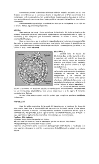 Guia embriología
