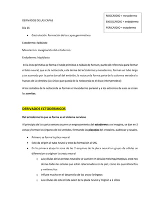 DERIVADOS DE LAS CAPAS
Día 16
 Gastrulación: Formación de las capas germinativas
Ectodermo: epiblasto
Mesodermo: invaginación del ectodermo
Endodermo: hipoblasto
En la línea primitiva se forma el nodo primitivo o nódulo de hensen, punto de referencia para formar
el tubo neural, que es la notocorda, esta deriva del ectodermo y mesodermo, forman un tubo largo
y se acomoda por la parte dorsal del embrión, la notocorda forma parte de la columna vertebral o
huesos de la vértebra (Lo único que queda de la notocorda es el disco intervertebral)
A los costados de la notocorda se forman el mesodermo paraxial y a los extremos de esos se crean
las somitas.
DERIVADOS ECTODERMICOS
Del ectodermo lo que se forma es el sistema nervioso
Al principio de la cuarta semana ocurre un engrosamiento del ectodermo y se invagina, se dan en 3
zonas y forman los órganos de los sentidos, formando las placodas del cristalino, auditivas y nasales.
 Primero se forma la placa neural
 Esto da origen al tubo neural y esto da formación al SNC
 En la primera etapa la zona de las 2 esquinas de la placa neural un grupo de células se
diferencian y originan la cresta neural
o Las células de las crestas neurales se vuelven en células mesenquimatosas, esto nos
deriva todas las células que están relacionadas con la piel, como los queratinocitos
y melanocitos
o Influye mucho en el desarrollo de los arcos faríngeos
o Las células de esta cresta salen de la placa neural y migran a 2 sitios
MIOCARDIO = mesodermo
ENDOCARDIO = endodermo
PERICARDIO = ectodermo
 