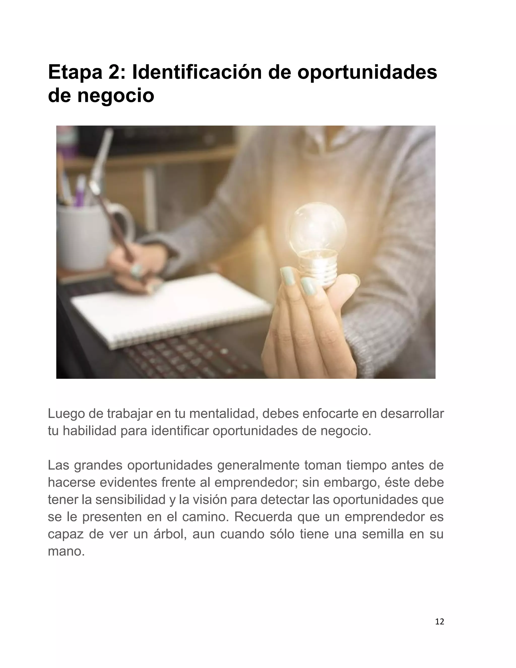 Guia emprendedores javier diaz