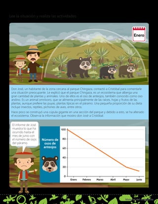Material del estudiante
4
Lee la situación y realiza las actividades.
Enero
Don José, un habitante de la zona cercana al parque Chingaza, contactó a Cristóbal para comentarle
una situación preocupante. Le explicó que el parque Chingaza, es un ecosistema que alberga una
gran cantidad de plantas y animales. Uno de ellos es el oso de anteojos, también conocido como oso
andino. Es un animal omnívoro, que se alimenta principalmente de las raíces, hojas y frutos de las
plantas, aunque prefiere las puyas, plantas típicas en el páramo. Una pequeña proporción de su dieta
incluye insectos, reptiles, pichones de aves, entre otros.
Hace poco se construyó una cúpula gigante en una sección del parque y debido a esto, se ha alterado
el ecosistema. Observa la información que mostro don José a Cristóbal.
Número de
osos de
anteojos
Enero
0
20
40
60
80
100
Febrero Marzo Abril Mayo Junio
El informe de José
muestra lo que ha
ocurrido hasta el
mes de junio con
el número de osos
del páramo.
 