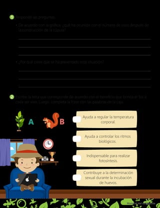 Material del estudiante
5
1 	Responde las preguntas.
•	De acuerdo con la gráfica, ¿qué ha ocurrido con el número de osos después de
la construcción de la cúpula?
•	¿Por qué crees que se ha presentado esta situación?
2 	Escribe la letra que corresponde de acuerdo con el beneficio que brinda el Sol a
cada ser vivo. Luego, completa la frase con las palabras de la caja.
Ayuda a controlar los ritmos
biológicos.
Ayuda a regular la temperatura
corporal.
Contribuye a la determinación
sexual durante la incubación
de huevos.
Indispensable para realizar
fotosíntesis.
A B
 