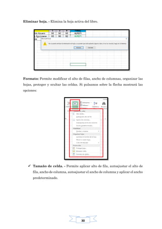 30
Eliminar hoja. - Elimina la hoja activa del libro.
Formato: Permite modificar el alto de filas, ancho de columnas, organizar las
hojas, proteger y ocultar las celdas. Si pulsamos sobre la flecha mostrará las
opciones:
 Tamaño de celda. - Permite aplicar alto de fila, autoajustar el alto de
fila, ancho de columna, autoajustar el ancho de columna y aplicar el ancho
predeterminado.
 