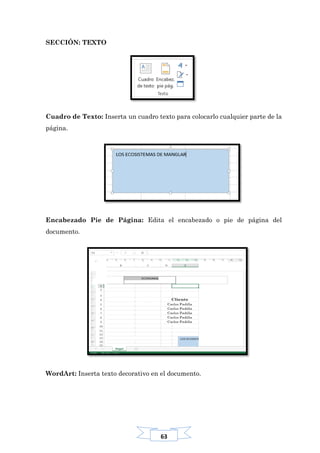63
SECCIÓN: TEXTO
Cuadro de Texto: Inserta un cuadro texto para colocarlo cualquier parte de la
página.
Encabezado Pie de Página: Edita el encabezado o pie de página del
documento.
WordArt: Inserta texto decorativo en el documento.
 