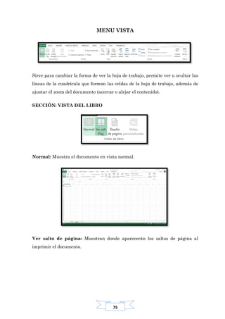 75
MENU VISTA
Sirve para cambiar la forma de ver la hoja de trabajo, permite ver u ocultar las
líneas de la cuadrícula que forman las celdas de la hoja de trabajo, además de
ajustar el zoom del documento (acercar o alejar el contenido).
SECCIÓN: VISTA DEL LIBRO
Normal: Muestra el documento en vista normal.
Ver salto de página: Muestran donde aparecerán los saltos de página al
imprimir el documento.
 