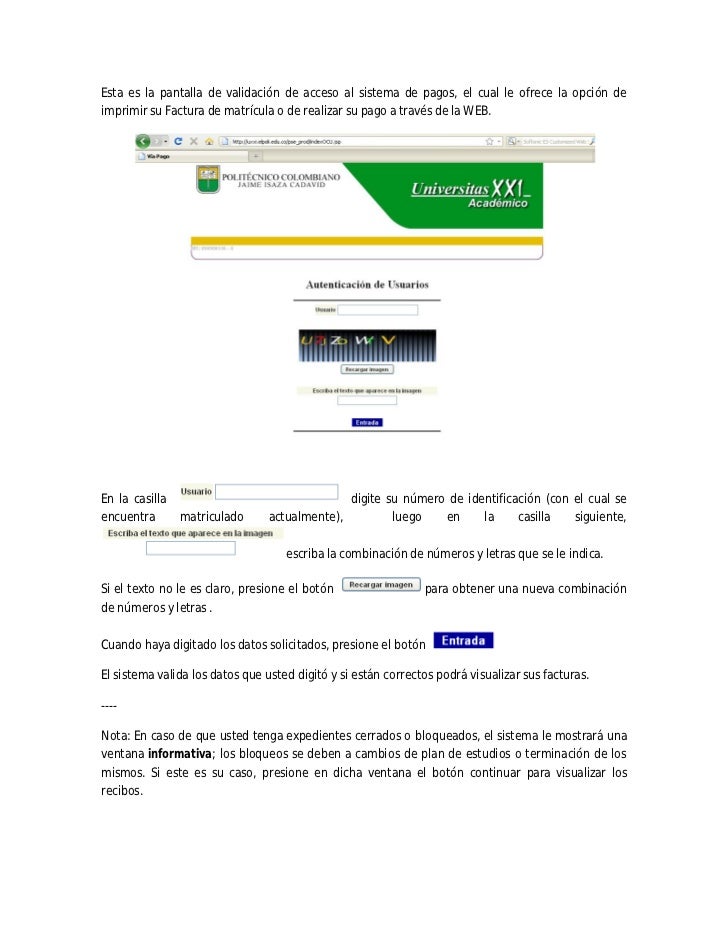 guia impresión de factura y pago en línea