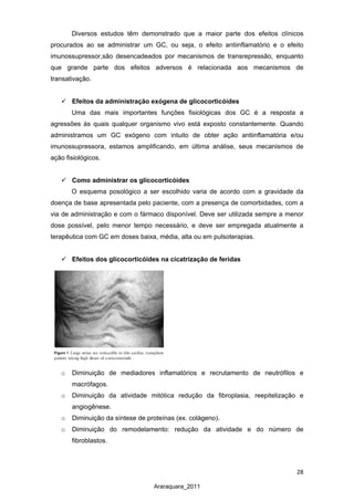 28
Araraquara_2011
Diversos estudos têm demonstrado que a maior parte dos efeitos clínicos
procurados ao se administrar um GC, ou seja, o efeito antiinflamatório e o efeito
imunossupressor,são desencadeados por mecanismos de transrepressão, enquanto
que grande parte dos efeitos adversos é relacionada aos mecanismos de
transativação.
 Efeitos da administração exógena de glicocorticóides
Uma das mais importantes funções fisiológicas dos GC é a resposta a
agressões às quais qualquer organismo vivo está exposto constantemente. Quando
administramos um GC exógeno com intuito de obter ação antiinflamatória e/ou
imunossupressora, estamos amplificando, em última análise, seus mecanismos de
ação fisiológicos.
 Como administrar os glicocorticóides
O esquema posológico a ser escolhido varia de acordo com a gravidade da
doença de base apresentada pelo paciente, com a presença de comorbidades, com a
via de administração e com o fármaco disponível. Deve ser utilizada sempre a menor
dose possível, pelo menor tempo necessário, e deve ser empregada atualmente a
terapêutica com GC em doses baixa, média, alta ou em pulsoterapias.
 Efeitos dos glicocorticóides na cicatrização de feridas
o Diminuição de mediadores inflamatórios e recrutamento de neutrófilos e
macrófagos.
o Diminuição da atividade mitótica redução da fibroplasia, reepitelização e
angiogênese.
o Diminuição da síntese de proteínas (ex. colágeno).
o Diminuição do remodelamento: redução da atividade e do número de
fibroblastos.
 