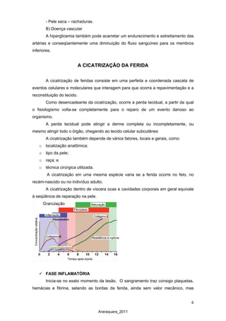 6
Araraquara_2011
- Pele seca – rachaduras.
B) Doença vascular
A hiperglicemia também pode acarretar um endurecimento e estreitamento das
artérias e conseqüentemente uma diminuição do fluxo sanguíneo para os membros
inferiores.
A CICATRIZAÇÃO DA FERIDA
A cicatrização de feridas consiste em uma perfeita e coordenada cascata de
eventos celulares e moleculares que interagem para que ocorra a repavimentação e a
reconstituição do tecido.
Como desencadeante da cicatrização, ocorre a perda tecidual, a partir da qual
o fisiologismo volta-se completamente para o reparo de um evento danoso ao
organismo.
A perda tecidual pode atingir a derme completa ou incompletamente, ou
mesmo atingir todo o órgão, chegando ao tecido celular subcutâneo
A cicatrização também depende de vários fatores, locais e gerais, como:
o localização anatômica;
o tipo da pele;
o raça; e
o técnica cirúrgica utilizada.
A cicatrização em uma mesma espécie varia se a ferida ocorre no feto, no
recém-nascido ou no indivíduo adulto.
A cicatrização dentro de víscera ocas e cavidades corporais em geral equivale
à seqüência de reparação na pele.
 FASE INFLAMATÓRIA
Inicia-se no exato momento da lesão. O sangramento traz consigo plaquetas,
hemácias e fibrina, selando as bordas da ferida, ainda sem valor mecânico, mas
 