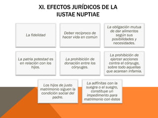 XI. EFECTOS JURÍDICOS DE LA
IUSTAE NUPTIAE
La fidelidad
Deber recíproco de
hacer vida en común
La obligación mutua
de dar alimentos
según sus
posibilidades y
necesidades.
La patria potestad es
en relación con los
hijos.
La prohibición de
donación entre los
cónyuges.
La prohibición de
ejercer acciones
contra el cónyuge,
sobre todo aquellas
que acarean infamia.
Los hijos de justo
matrimonio siguen la
condición social del
padre.
La adfinitas con la
suegra o el suegro,
constituye un
impedimento para
matrimonio con éstos
 