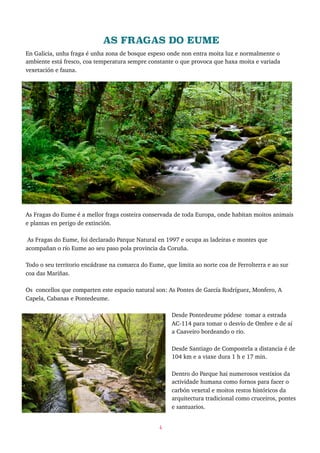 AS FRAGAS DO EUME
En Galicia, unha fraga é unha zona de bosque espeso onde non entra moita luz e normalmente o
ambiente está fresco, coa temperatura sempre constante o que provoca que haxa moita e variada
vexetación e fauna.
As Fragas do Eume é a mellor fraga costeira conservada de toda Europa, onde habitan moitos animais
e plantas en perigo de extinción.
As Fragas do Eume, foi declarado Parque Natural en 1997 e ocupa as ladeiras e montes que
acompañan o río Eume ao seu paso pola provincia da Coruña.
Todo o seu territorio encádrase na comarca do Eume, que limita ao norte coa de Ferrolterra e ao sur
coa das Mariñas.
Os concellos que comparten este espacio natural son: As Pontes de García Rodríguez, Monfero, A
Capela, Cabanas e Pontedeume.
Desde Pontedeume pódese tomar a estrada
AC-114 para tomar o desvío de Ombre e de aí
a Caaveiro bordeando o río.
Desde Santiago de Compostela a distancia é de
104 km e a viaxe dura 1 h e 17 min.
Dentro do Parque hai numerosos vestixios da
actividade humana como fornos para facer o
carbón vexetal e moitos restos históricos da
arquitectura tradicional como cruceiros, pontes
e santuarios.
4
 