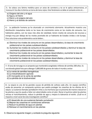 a) Oxigeno del aire y el agua
b) Agua y el hierro
c) Hierro y el oxígeno del aire
d) Hierro y el dióxido de carbono
a) Disminuir los niveles de consumo en los países desarrollados y la tasa de crecimiento
poblacional en los países subdesarrollados.
b) Aumentar los niveles de consumo en los países subdesarrollados y disminuir la tasa de
crecimiento poblacional en los países desarrollados.
c) Disminuir los niveles de consumo en los países desarrollados y aumentar la tasa de
crecimiento poblacional en los países subdesarrollados.
d) Aumentar los niveles de consumo en los países desarrollados y disminuir la tasa de
crecimiento poblacional en los países subdesarrollados.
a) La venta de semillas transgénicas
b) La industrialización agrícola
c) El monopolio en la venta de semillas
d) La pérdida de la biodiversidad
a) El desarrollo de una sustancia llamada quinabactin
b) Mejorar las cosechas en condiciones adversas
c) Reducir la pérdida de agua en plantas
d) Retrasar el marchitamiento en las plantas
9. Observe la siguiente imagen y conteste la pregunta siguiente:
5.- Se coloca una lámina metálica para un aviso de carretera y no se le aplica anticorrosivo, al
transcurrir los días la lámina se torna de tono rojizo. Este fenómeno se debe al contacto entre el…
6.- La población humana ya ha alcanzado un crecimiento alarmante. Actualmente muestra una
distribución inequitativa tanto es las tasas de crecimiento como en los niveles de consumo. Los
habitantes pobres, con las tasas más altas de natalidad, tienen niveles de consumo de recursos y
energía muy por debajo de los niveles promedio de un habitante de Estados Unidos o de Europa.
Para solucionar esta problemática social deben…
7.- El arca de noruega es un proyecto que mantendrá congeladas millones de semillas 200 años. Es
una bóveda global lista para albergar 5,000,000 de granos de todo el mundo y evitar:
8.- La sequía es una de las grandes causas de pérdida de cultivos cada año. Un equipo científico
acaba de presentar un compuesto químico que podría proteger las cosechas de los efectos de la
sequía. La sustancia llamada quinabactin imita a una hormona que se presenta de manera natural en
las plantas y que les ayuda a lidiar con adversidades como el calor. Rociar el químico sobre las plantas
retrasa el marchitamiento, reduce la pérdida de agua y mejora la tolerancia al estrés. ¿Cuál es el
impacto a nivel social de esta investigación científica?
 