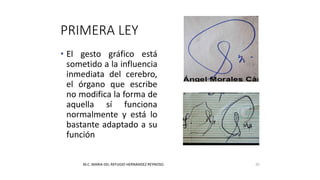 PRIMERA LEY
• El gesto gráfico está
sometido a la influencia
inmediata del cerebro,
el órgano que escribe
no modifica la forma de
aquella sí funciona
normalmente y está lo
bastante adaptado a su
función
M.C. MARIA DEL REFUGIO HERNANDEZ REYNOSO. 20
 