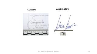 CURVOS ANGULARES
M.C. MARIA DEL REFUGIO HDZ REYNOSO. 58
 