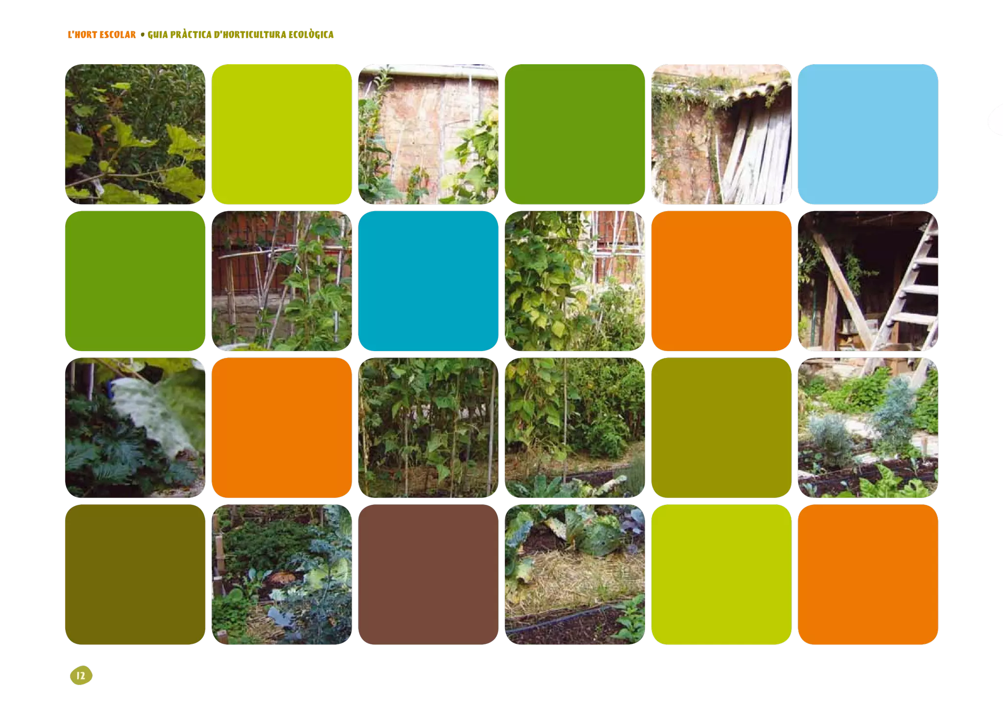 L’HORT ESCOLAR • GUIA PRÀCTICA D’HORTICULTURA ECOLÒGICA




 12
 