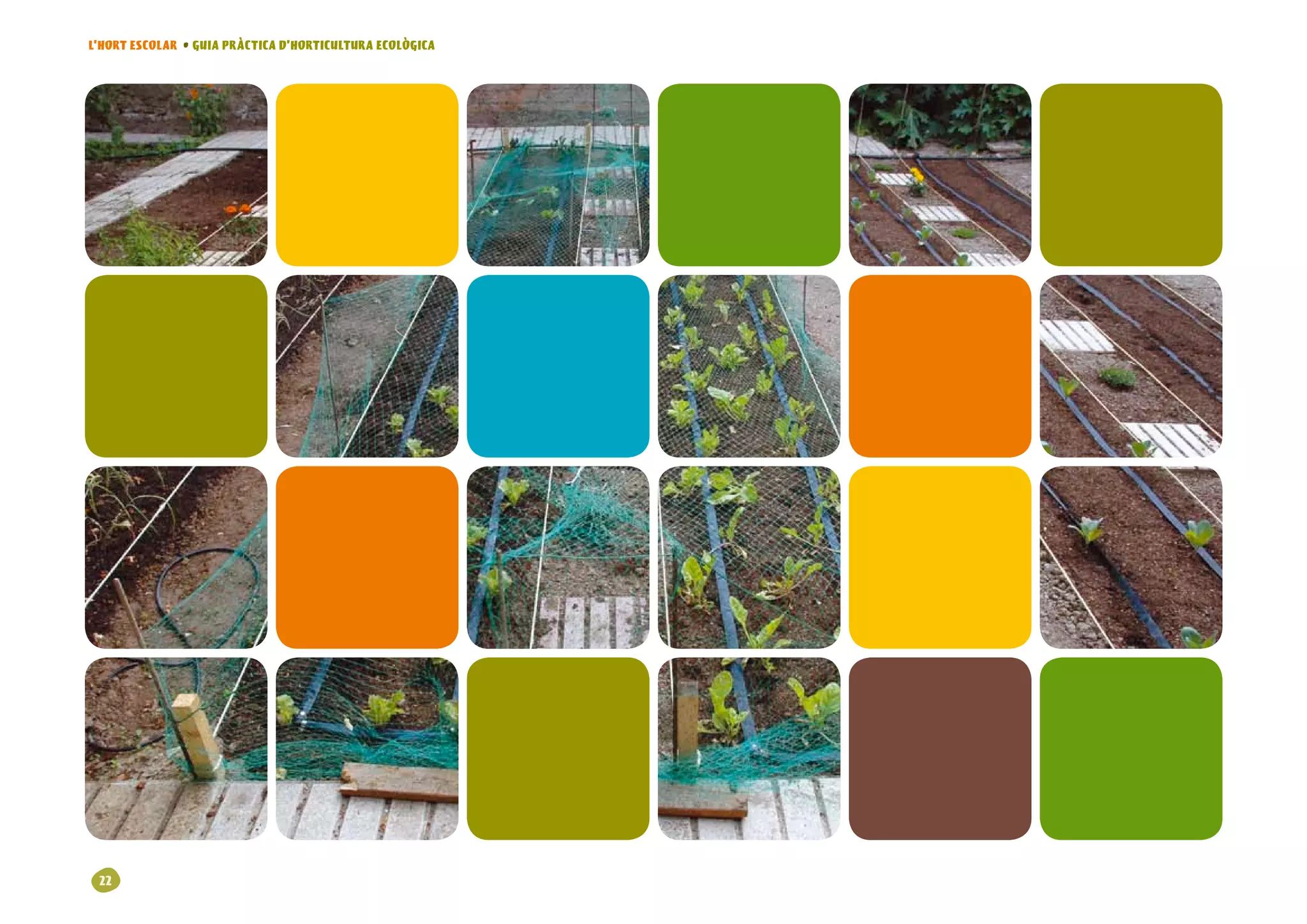 L’HORT ESCOLAR • GUIA PRÀCTICA D’HORTICULTURA ECOLÒGICA




 22
 