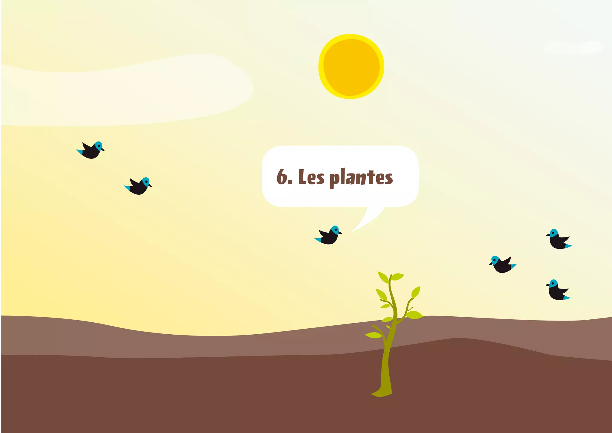 1. Introducció a l’horticultura ecològica




6. Les plantes




                                                      39
 