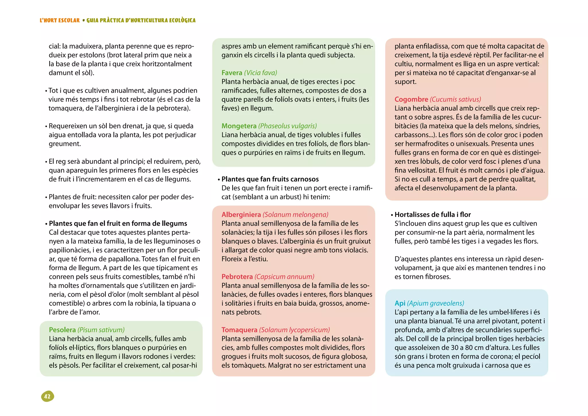 L’HORT ESCOLAR • GUIA PRÀCTICA D’HORTICULTURA ECOLÒGICA



   cial: la maduixera, planta perenne que es repro-          aspres amb un element ramificant perquè s’hi en-            planta enfiladissa, com que té molta capacitat de
   dueix per estolons (brot lateral prim que neix a          ganxin els circells i la planta quedi subjecta.             creixement, la tija esdevé rèptil. Per facilitar-ne el
   la base de la planta i que creix horitzontalment                                                                      cultiu, normalment es lliga en un aspre vertical:
   damunt el sòl).                                           Favera (Vicia fava)                                         per si mateixa no té capacitat d’enganxar-se al
                                                             Planta herbàcia anual, de tiges erectes i poc               suport.
 • Tot i que es cultiven anualment, algunes podrien          ramificades, fulles alternes, compostes de dos a
   viure més temps i fins i tot rebrotar (és el cas de la    quatre parells de folíols ovats i enters, i fruits (les     Cogombre (Cucumis sativus)
   tomaquera, de l’alberginiera i de la pebrotera).          faves) en llegum.                                           Liana herbàcia anual amb circells que creix rep-
                                                                                                                         tant o sobre aspres. És de la família de les cucur-
 • Requereixen un sòl ben drenat, ja que, si queda           Mongetera (Phaseolus vulgaris)                              bitàcies (la mateixa que la dels melons, síndries,
   aigua entollada vora la planta, les pot perjudicar        Liana herbàcia anual, de tiges volubles i fulles            carbassons...). Les flors són de color groc i poden
   greument.                                                 compostes dividides en tres folíols, de flors blan-         ser hermafrodites o unisexuals. Presenta unes
                                                             ques o purpúries en raïms i de fruits en llegum.            fulles grans en forma de cor en què es distingei-
 • El reg serà abundant al principi; el reduirem, però,                                                                  xen tres lòbuls, de color verd fosc i plenes d’una
   quan apareguin les primeres flors en les espècies                                                                     fina vellositat. El fruit és molt carnós i ple d’aigua.
   de fruit i l’incrementarem en el cas de llegums.         • Plantes que fan fruits carnosos                            Si no es cull a temps, a part de perdre qualitat,
                                                              De les que fan fruit i tenen un port erecte i ramifi-      afecta el desenvolupament de la planta.
 • Plantes de fruit: necessiten calor per poder des-          cat (semblant a un arbust) hi tenim:
   envolupar les seves llavors i fruits.
                                                             Alberginiera (Solanum melongena)                           • Hortalisses de fulla i flor
 • Plantes que fan el fruit en forma de llegums              Planta anual semillenyosa de la família de les               S’inclouen dins aquest grup les que es cultiven
   Cal destacar que totes aquestes plantes perta-            solanàcies; la tija i les fulles són piloses i les flors     per consumir-ne la part aèria, normalment les
   nyen a la mateixa família, la de les lleguminoses o       blanques o blaves. L’albergínia és un fruit gruixut          fulles, però també les tiges i a vegades les flors.
   papilionàcies, i es caracteritzen per un flor peculi-     i allargat de color quasi negre amb tons violacis.
   ar, que té forma de papallona. Totes fan el fruit en      Floreix a l’estiu.                                          D’aquestes plantes ens interessa un ràpid desen-
   forma de llegum. A part de les que típicament es                                                                      volupament, ja que així es mantenen tendres i no
   conreen pels seus fruits comestibles, també n’hi          Pebrotera (Capsicum annuum)                                 es tornen fibroses.
   ha moltes d’ornamentals que s’utilitzen en jardi-         Planta anual semillenyosa de la família de les so-
   neria, com el pèsol d’olor (molt semblant al pèsol        lanàcies, de fulles ovades i enteres, flors blanques
   comestible) o arbres com la robínia, la tipuana o         i solitàries i fruits en baia buida, grossos, anome-        Api (Apium graveolens)
   l’arbre de l’amor.                                        nats pebrots.                                               L’api pertany a la família de les umbel·líferes i és
                                                                                                                         una planta bianual. Té una arrel pivotant, potent i
   Pesolera (Pisum sativum)                                  Tomaquera (Solanum lycopersicum)                            profunda, amb d’altres de secundàries superfici-
   Liana herbàcia anual, amb circells, fulles amb            Planta semillenyosa de la família de les solanà-            als. Del coll de la principal brollen tiges herbàcies
   folíols el·líptics, flors blanques o purpúries en         cies, amb fulles compostes molt dividides, flors            que assoleixen de 30 a 80 cm d’altura. Les fulles
   raïms, fruits en llegum i llavors rodones i verdes:       grogues i fruits molt sucosos, de figura globosa,           són grans i broten en forma de corona; el pecíol
   els pèsols. Per facilitar el creixement, cal posar-hi     els tomàquets. Malgrat no ser estrictament una              és una penca molt gruixuda i carnosa que es



 2
 