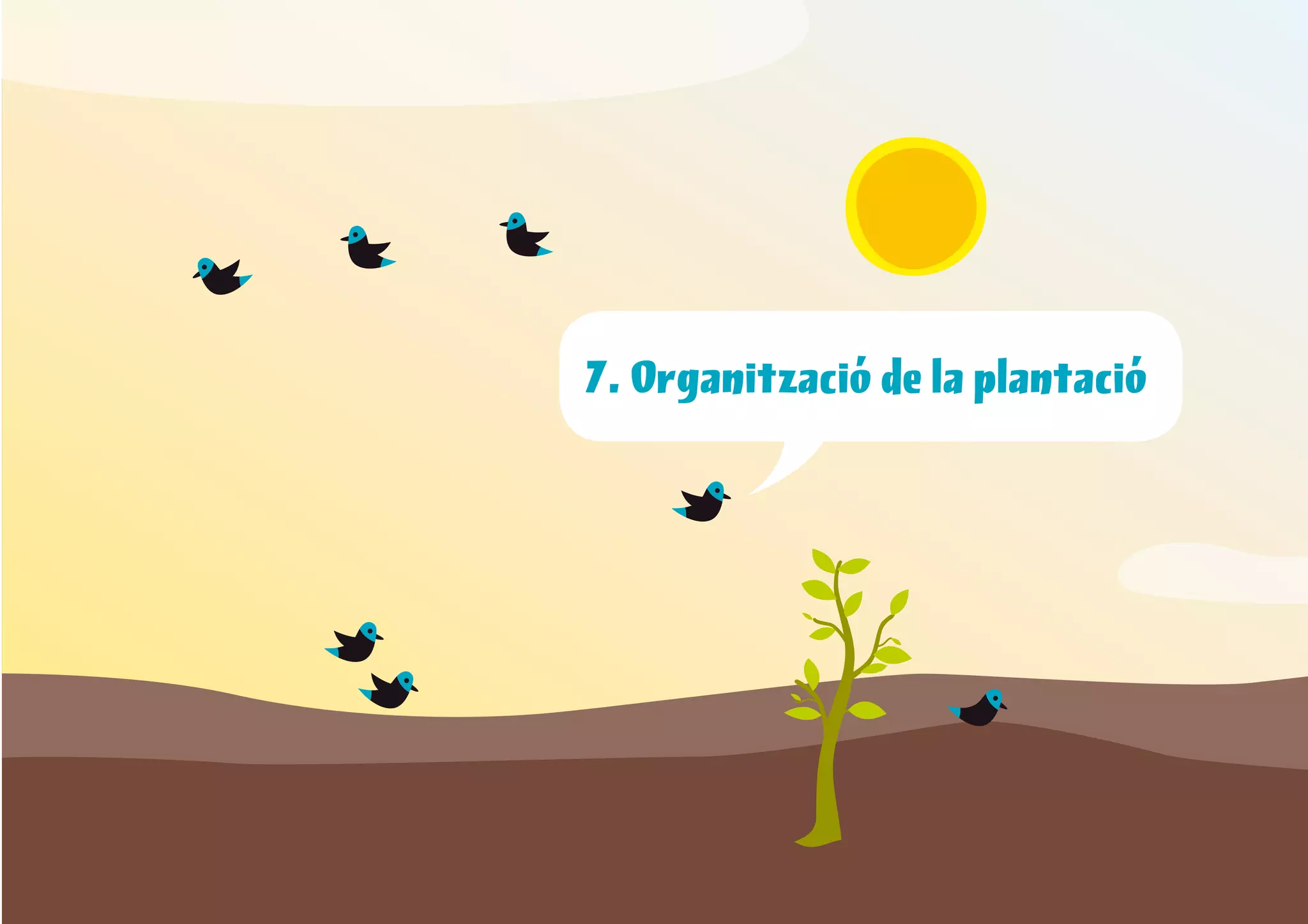 1. Introducció a l’horticultura ecològica




. Organització de la plantació




                                                          1
 