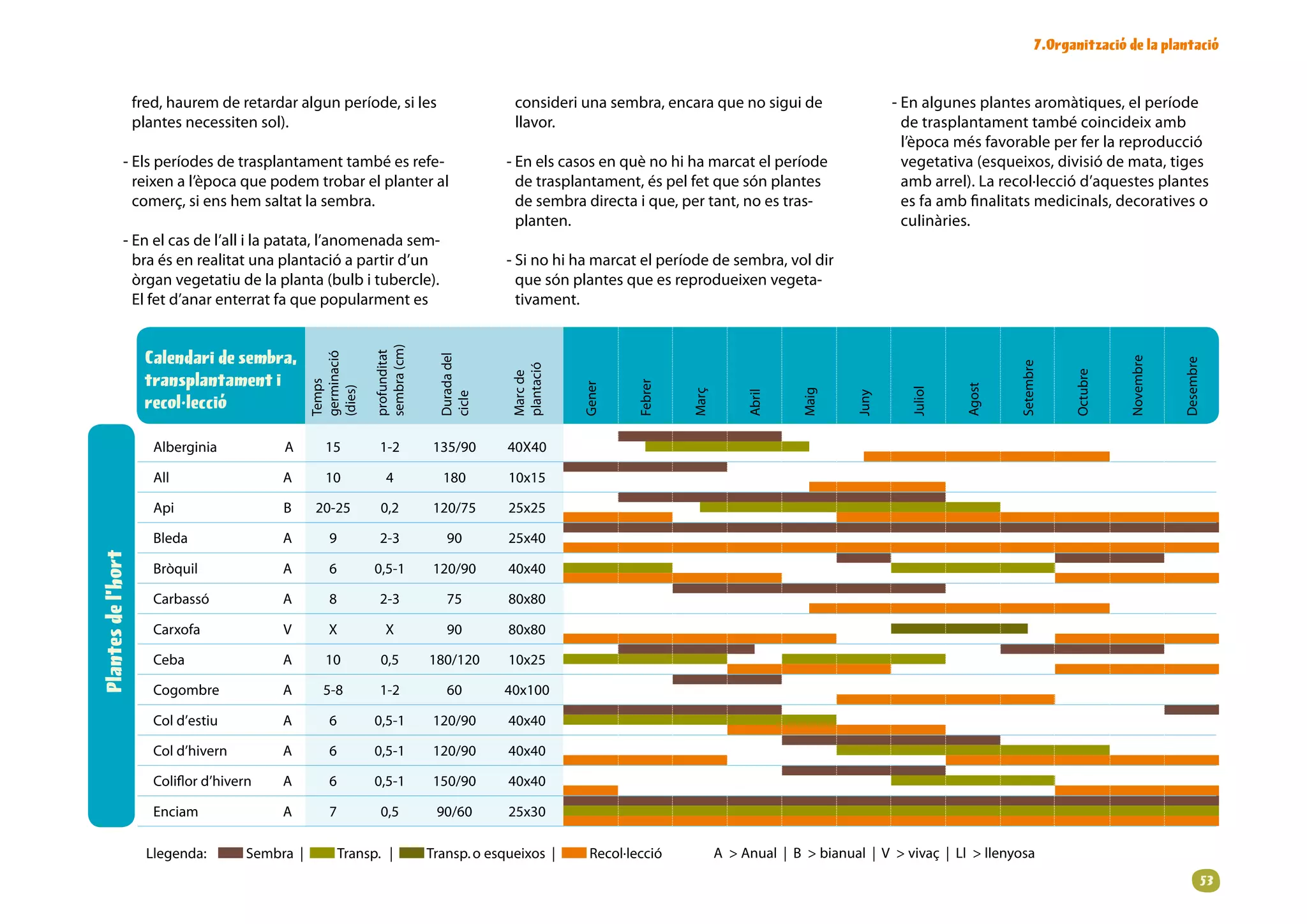 .Organització de la plantació


                    fred, haurem de retardar algun període, si les                                 consideri una sembra, encara que no sigui de                           - En algunes plantes aromàtiques, el període
                    plantes necessiten sol).                                                       llavor.                                                                  de trasplantament també coincideix amb
                                                                                                                                                                            l’època més favorable per fer la reproducció
              - Els períodes de trasplantament també es refe-                                     - En els casos en què no hi ha marcat el període                          vegetativa (esqueixos, divisió de mata, tiges
                reixen a l’època que podem trobar el planter al                                     de trasplantament, és pel fet que són plantes                           amb arrel). La recol·lecció d’aquestes plantes
                comerç, si ens hem saltat la sembra.                                                de sembra directa i que, per tant, no es tras-                          es fa amb finalitats medicinals, decoratives o
                                                                                                    planten.                                                                culinàries.
              - En el cas de l’all i la patata, l’anomenada sem-
                bra és en realitat una plantació a partir d’un                                    - Si no hi ha marcat el període de sembra, vol dir
                òrgan vegetatiu de la planta (bulb i tubercle).                                     que són plantes que es reprodueixen vegeta-
                El fet d’anar enterrat fa que popularment es                                        tivament.




                                                                   sembra(cm)
                     Calendari de sembra,
                                                                   profunditat
                                                     germinació




                                                                                    Duradadel




                                                                                                                                                                                                                        Novembre


                                                                                                                                                                                                                                   Desembre
                                                                                                                                                                                                  Setembre
                                                                                                   plantació
                                                                                                   Marcde
                     transplantament i




                                                                                                                                                                                                              Octubre
                                                     Temps




                                                                                                                        Febrer
                                                                                                               Gener




                                                                                                                                                                                        Agost
                                                     (dies)




                                                                                                                                                                             Juliol
                                                                                                                                                        Maig
                                                                                                                                 Març


                                                                                                                                              Abril




                                                                                                                                                                   Juny
                                                                                    cicle
                     recol·lecció

                       Alberginia           A          15          1-2            135/90         40X40

                       All                   A          10             4             180          10x15

                       Api                   B        20-25          0,2           120/75         25x25

                       Bleda                 A           9          2-3               90          25x40
Plantes de l’hort




                       Bròquil               A           6         0,5-1           120/90         40x40

                       Carbassó              A           8          2-3               75          80x80

                       Carxofa               V           X            X               90          80x80

                       Ceba                 A          10           0,5          180/120         10x25

                       Cogombre              A         5-8          1-2               60          40x100

                       Cold’estiu           A           6         0,5-1           120/90         40x40

                       Cold’hivern          A           6         0,5-1           120/90         40x40

                       Coliflord’hivern     A           6         0,5-1           150/90         40x40

                       Enciam                A           7           0,5            90/60         25x30

                      Llegenda:   Sembra|        Transp.|          Transp.oesqueixos|    Recol·lecció            AAnual|Bbianual|Vvivaç|Llllenyosa
                                                                                                                                                                                                                                          3
 