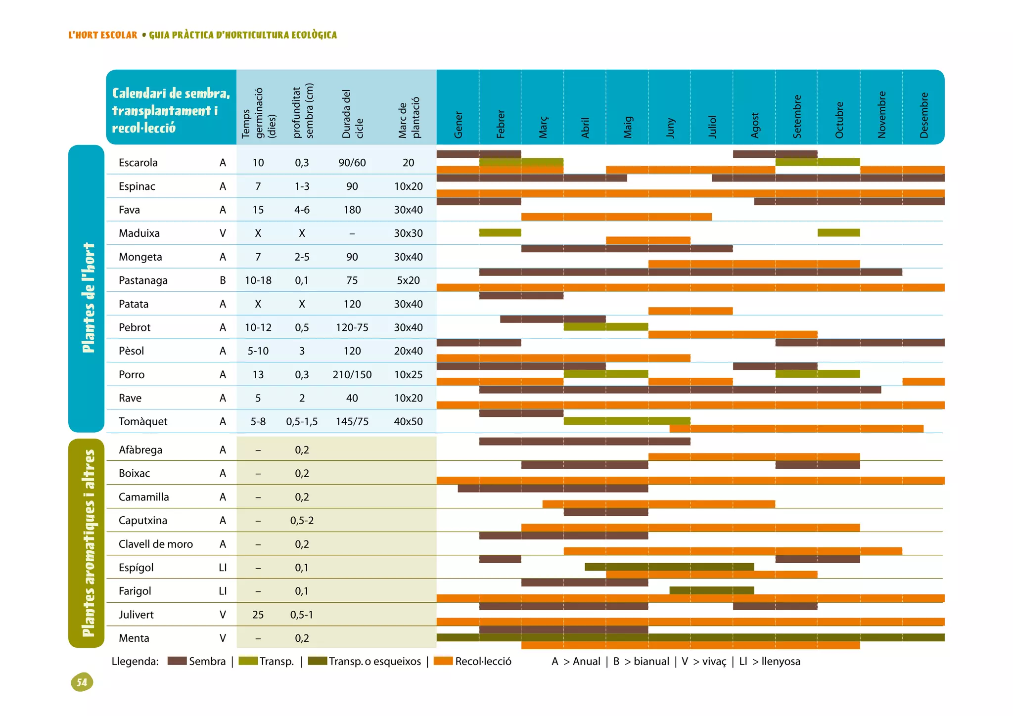 L’HORT ESCOLAR • GUIA PRÀCTICA D’HORTICULTURA ECOLÒGICA




                                                                              sembra(cm)
                                 Calendari de sembra,




                                                                              profunditat
                                                                germinació




                                                                                                Duradadel




                                                                                                                                                                                                                                  Novembre


                                                                                                                                                                                                                                             Desembre
                                                                                                                                                                                                             Setembre
                                                                                                              plantació
                                                                                                              Marcde
                                 transplantament i




                                                                                                                                                                                                                        Octubre
                                                                Temps




                                                                                                                                   Febrer
                                                                                                                          Gener




                                                                                                                                                                                                   Agost
                                                                (dies)




                                                                                                                                                                                         Juliol
                                                                                                                                                                    Maig
                                                                                                                                            Març


                                                                                                                                                         Abril




                                                                                                                                                                              Juny
                                                                                                cicle
                                 recol·lecció

                                  Escarola              A          10           0,3            90/60            20

                                  Espinac               A           7          1-3                90          10x20

                                  Fava                  A          15          4-6               180          30x40

                                  Maduixa               V           X            X                 –          30x30
  Plantes de l’hort




                                  Mongeta               A           7          2-5                90          30x40

                                  Pastanaga             B        10-18          0,1               75          5x20

                                  Patata                A           X            X               120          30x40

                                  Pebrot                A        10-12          0,5            120-75         30x40

                                  Pèsol                 A         5-10            3              120          20x40

                                  Porro                 A          13           0,3           210/150         10x25

                                  Rave                  A           5             2               40          10x20

                                  Tomàquet              A         5-8         0,5-1,5         145/75          40x50

                                  Afàbrega              A           –           0,2
  Plantes aromatiques i altres




                                  Boixac                A           –           0,2

                                  Camamilla             A           –           0,2

                                  Caputxina             A           –         0,5-2

                                  Clavelldemoro       A           –           0,2

                                  Espígol               LI          –           0,1

                                  Farigol               LI          –           0,1

                                  Julivert              V          25         0,5-1

                                  Menta                 V           –           0,2

                                 Llegenda:   Sembra|        Transp.|          Transp.oesqueixos|    Recol·lecció            AAnual|Bbianual|Vvivaç|Llllenyosa
 
 