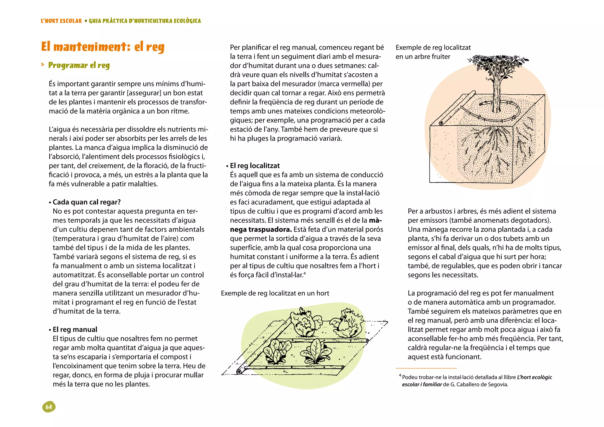 L’HORT ESCOLAR • GUIA PRÀCTICA D’HORTICULTURA ECOLÒGICA



El manteniment: el reg                                         Per planificar el reg manual, comenceu regant bé      Exemple de reg localitzat
                                                               la terra i fent un seguiment diari amb el mesura-     en un arbre fruiter
 Programar el reg                                             dor d’humitat durant una o dues setmanes: cal-
                                                               drà veure quan els nivells d’humitat s’acosten a
  És important garantir sempre uns mínims d’humi-              la part baixa del mesurador (marca vermella) per
  tat a la terra per garantir [assegurar] un bon estat         decidir quan cal tornar a regar. Això ens permetrà
  de les plantes i mantenir els processos de transfor-         definir la freqüència de reg durant un període de
  mació de la matèria orgànica a un bon ritme.                 temps amb unes mateixes condicions meteorolò-
                                                               giques; per exemple, una programació per a cada
  L’aigua és necessària per dissoldre els nutrients mi-        estació de l’any. També hem de preveure que si
  nerals i així poder ser absorbits per les arrels de les      hi ha pluges la programació variarà.
  plantes. La manca d’aigua implica la disminució de
  l’absorció, l’alentiment dels processos fisiològics i,
  per tant, del creixement, de la floració, de la fructi-    • El reg localitzat
  ficació i provoca, a més, un estrès a la planta que la       És aquell que es fa amb un sistema de conducció
  fa més vulnerable a patir malalties.                         de l’aigua fins a la mateixa planta. És la manera
                                                               més còmoda de regar sempre que la instal·lació
  • Cada quan cal regar?                                       es faci acuradament, que estigui adaptada al
    No es pot contestar aquesta pregunta en ter-               tipus de cultiu i que es programi d’acord amb les            Per a arbustos i arbres, és més adient el sistema
    mes temporals ja que les necessitats d’aigua               necessitats. El sistema més senzill és el de la mà-          per emissors (també anomenats degotadors).
    d’un cultiu depenen tant de factors ambientals             nega traspuadora. Està feta d’un material porós              Una mànega recorre la zona plantada i, a cada
    (temperatura i grau d’humitat de l’aire) com               que permet la sortida d’aigua a través de la seva            planta, s’hi fa derivar un o dos tubets amb un
    també del tipus i de la mida de les plantes.               superfície, amb la qual cosa proporciona una                 emissor al final, dels quals, n’hi ha de molts tipus,
    També variarà segons el sistema de reg, si es              humitat constant i uniforme a la terra. És adient            segons el cabal d’aigua que hi surt per hora;
    fa manualment o amb un sistema localitzat i                per al tipus de cultiu que nosaltres fem a l’hort i          també, de regulables, que es poden obrir i tancar
    automatitzat. És aconsellable portar un control            és força fàcil d’instal·lar.4                                segons les necessitats.
    del grau d’humitat de la terra: el podeu fer de
    manera senzilla utilitzant un mesurador d’hu-           Exemple de reg localitzat en un hort                            La programació del reg es pot fer manualment
    mitat i programant el reg en funció de l’estat                                                                          o de manera automàtica amb un programador.
    d’humitat de la terra.                                                                                                  També seguirem els mateixos paràmetres que en
                                                                                                                            el reg manual, però amb una diferència: el loca-
  • El reg manual                                                                                                           litzat permet regar amb molt poca aigua i això fa
    El tipus de cultiu que nosaltres fem no permet                                                                          aconsellable fer-ho amb més freqüència. Per tant,
    regar amb molta quantitat d’aigua ja que aques-                                                                         caldrà regular-ne la freqüència i el temps que
    ta se’ns escaparia i s’emportaria el compost i                                                                          aquest està funcionant.
    l’encoixinament que tenim sobre la terra. Heu de
    regar, doncs, en forma de pluja i procurar mullar                                                                 4
                                                                                                                          Podeu trobar-ne la instal·lació detallada al llibre L’hort ecològic
    més la terra que no les plantes.                                                                                      escolar i familiar de G. Caballero de Segovia.


 6
 