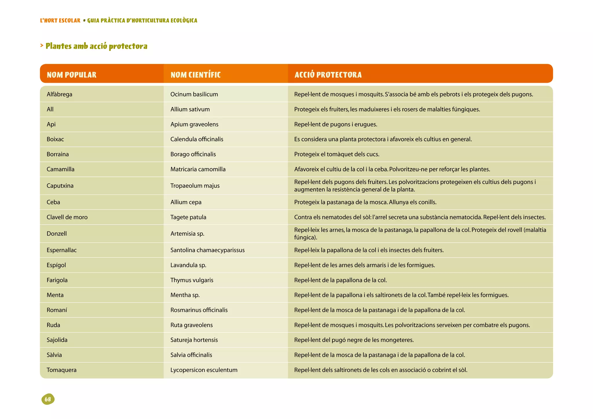 L’HORT ESCOLAR • GUIA PRÀCTICA D’HORTICULTURA ECOLÒGICA



 Plantes amb acció protectora


  NOM POPULAR                                NOM CIENTÍFIC                ACCIÓ PROTECTORA

  Alfàbrega                                 Ocinumbasilicum             Repel·lentdemosquesimosquits.S’associabéambelspebrotsielsprotegeixdelspugons.

  All                                        Alliumsativum               Protegeixelsfruiters,lesmaduixeresielsrosersdemalaltiesfúngiques.

  Api                                        Apiumgraveolens             Repel·lentdepugonsierugues.

  Boixac                                     Calendulaofficinalis        Esconsideraunaplantaprotectoraiafavoreixelscultiusengeneral.

  Borraina                                   Boragoofficinalis           Protegeixeltomàquetdelscucs.

  Camamilla                                  Matricariacamomilla         Afavoreixelcultiudelacolilaceba.Polvoritzeu-neperreforçarlesplantes.

                                                                          Repel·lentdelspugonsdelsfruiters.Lespolvoritzacionsprotegeixenelscultiusdelspugonsi
  Caputxina                                  Tropaeolummajus
                                                                          augmentenlaresistènciageneraldelaplanta.

  Ceba                                       Alliumcepa                  Protegeixlapastanagadelamosca.Allunyaelsconills.

  Clavelldemoro                            Tagetepatula                Contraelsnematodesdelsòl:l’arrelsecretaunasubstàncianematocida.Repel·lentdelsinsectes.

                                                                          Repel·leixlesarnes,lamoscadelapastanaga,lapapallonadelacol.Protegeixdelrovell(malaltia
  Donzell                                    Artemisiasp.
                                                                          fúngica).

  Espernallac                                Santolinachamaecyparissus   Repel·leixlapapallonadelacolielsinsectesdelsfruiters.

  Espígol                                    Lavandulasp.                Repel·lentdelesarnesdelsarmarisidelesformigues.

  Farigola                                   Thymusvulgaris              Repel·lentdelapapallonadelacol.

  Menta                                      Menthasp.                   Repel·lentdelapapallonaielssaltironetsdelacol.Tambérepel·leixlesformigues.

  Romaní                                     Rosmarinusofficinalis       Repel·lentdelamoscadelapastanagaidelapapallonadelacol.

  Ruda                                       Rutagraveolens              Repel·lentdemosquesimosquits.Lespolvoritzacionsserveixenpercombatreelspugons.

  Sajolida                                   Saturejahortensis           Repel·lentdelpugónegredelesmongeteres.

  Sàlvia                                     Salviaofficinalis           Repel·lentdelamoscadelapastanagaidelapapallonadelacol.

  Tomaquera                                  Lycopersiconesculentum      Repel·lentdelssaltironetsdelescolsenassociacióocobrintelsòl.



 68
 