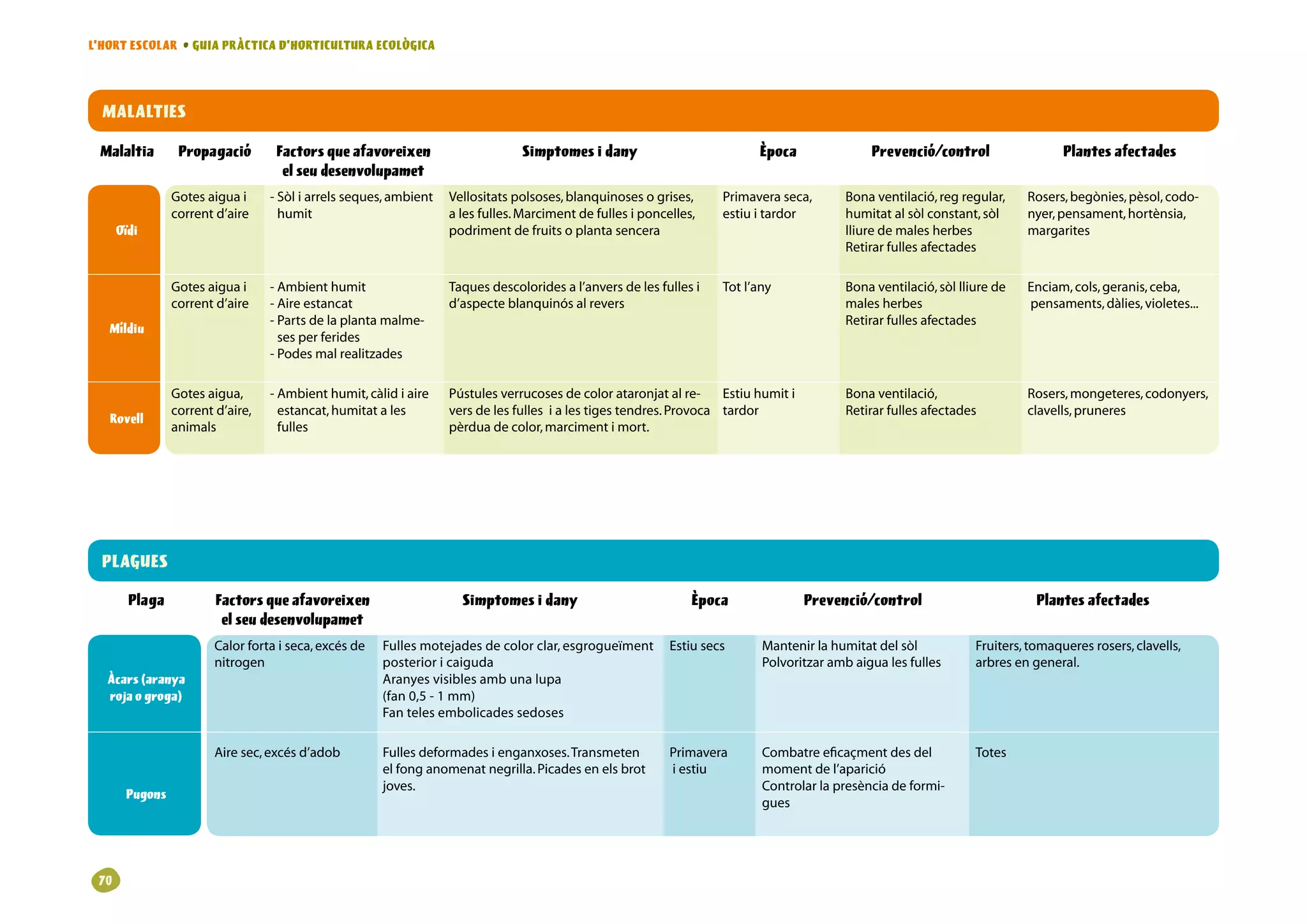 L’HORT ESCOLAR • GUIA PRÀCTICA D’HORTICULTURA ECOLÒGICA




  MALALTIES

 Malaltia        Propagació         Factors que afavoreixen                       Simptomes i dany                             Època                Prevenció/control                   Plantes afectades
                                     el seu desenvolupamet
                Gotesaiguai     - òliarrelsseques,ambient Vellositatspolsoses,blanquinosesogrises,
                                     S                                                                                  Primaveraseca,        Bonaventilació,regregular,    Rosers,begònies,pèsol,codo-
                correntd’aire       humit                          alesfulles.Marcimentdefullesiponcelles,     estiuitardor          humitatalsòlconstant,sòl     nyer,pensament,hortènsia,
      Oïdi                                                          podrimentdefruitsoplantasencera                                        lliuredemalesherbes            margarites
                                                                                                                                                Retirarfullesafectades

                Gotesaiguai     -Ambienthumit                   Taquesdescoloridesal’anversdelesfullesi    Totl’any               Bonaventilació,sòllliurede   Enciam,cols,geranis,ceba,
                correntd’aire     -Aireestancat                   d’aspecteblanquinósalrevers                                             malesherbes                      pensaments,dàlies,violetes...
                                   - artsdelaplantamalme-
                                     P                                                                                                          Retirarfullesafectades
   Míldiu
                                     sesperferides
                                   -Podesmalrealitzades

                Gotesaigua,      - mbienthumit,càlidiaire
                                     A                               Pústulesverrucosesdecolorataronjatalre-       Estiuhumiti         Bonaventilació,                 Rosers,mongeteres,codonyers,
                correntd’aire,     estancat,humitatales        versdelesfullesialestigestendres.Provoca tardor                 Retirarfullesafectades          clavells,pruneres
   Rovell
                animals              fulles                          pèrduadecolor,marcimentimort.




  PLAGUES

        Plaga           Factors que afavoreixen                        Simptomes i dany                           Època                   Prevenció/control                        Plantes afectades
                         el seu desenvolupamet
                        Calorfortaiseca,excésde   Fullesmotejadesdecolorclar,esgrogueïment Estiusecs               Mantenirlahumitatdelsòl             Fruiters,tomaqueresrosers,clavells,
                        nitrogen                        posterioricaiguda                                                     Polvoritzarambaigualesfulles        arbresengeneral.
  Àcars (aranya                                         Aranyesvisiblesambunalupa
  roja o groga)                                         (fan0,5-1mm)
                                                        Fantelesembolicadessedoses

                        Airesec,excésd’adob          Fullesdeformadesienganxoses.Transmeten           Primavera         Combatreeficaçmentdesdel            Totes
                                                        elfonganomenatnegrilla.Picadesenelsbrot       iestiu          momentdel’aparició
                                                        joves.                                                                  Controlarlapresènciadeformi-
       Pugons
                                                                                                                                gues




 0
 